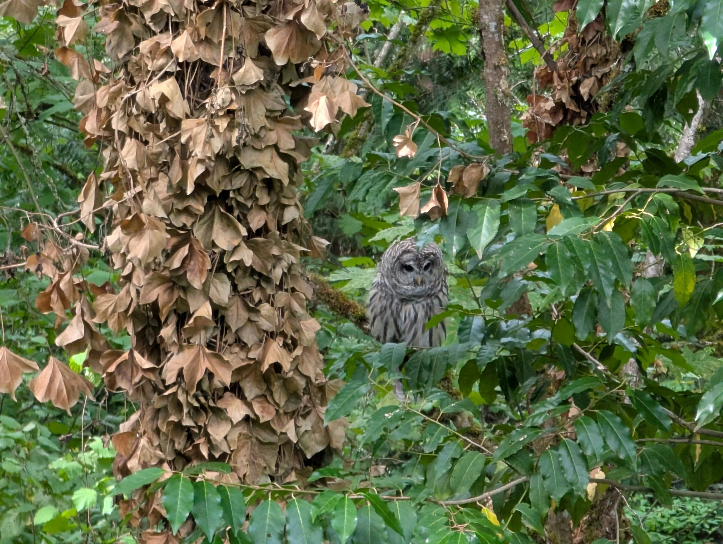 Existential Slip and Slide