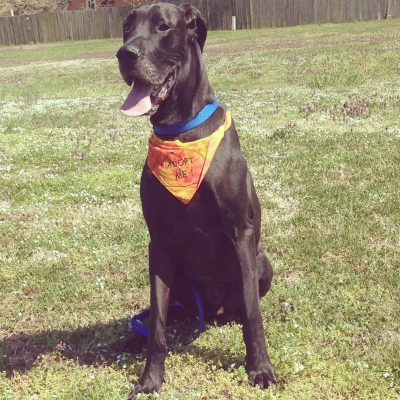 jaxx 3.jpg