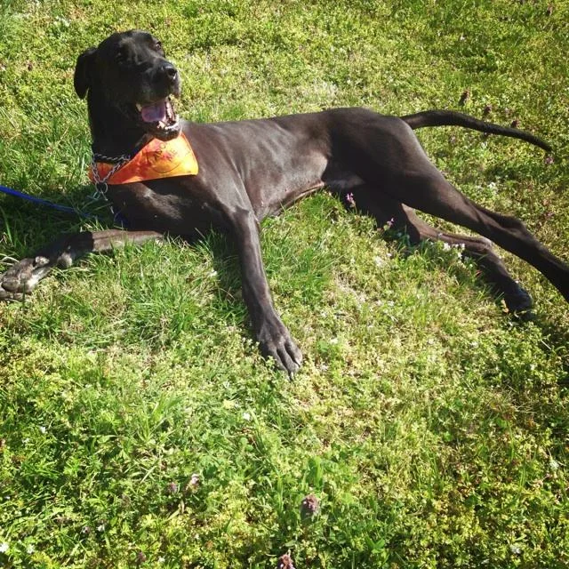 jaxx 2.jpg