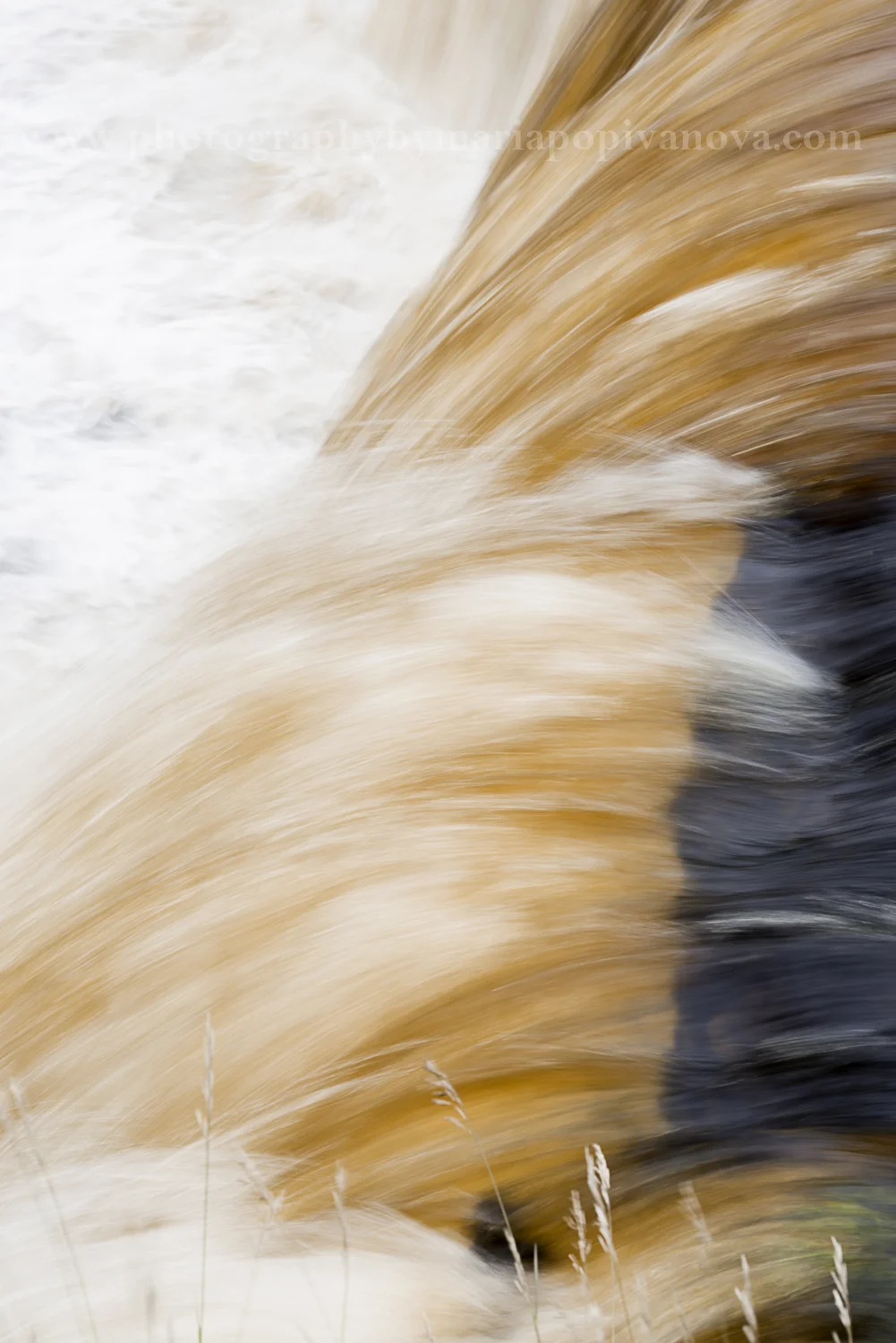 _DSC8787.jpg