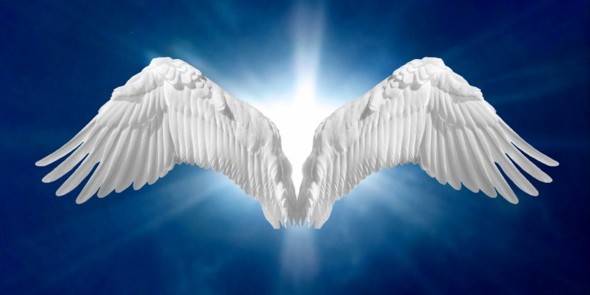 One Day Mediumship Intensive