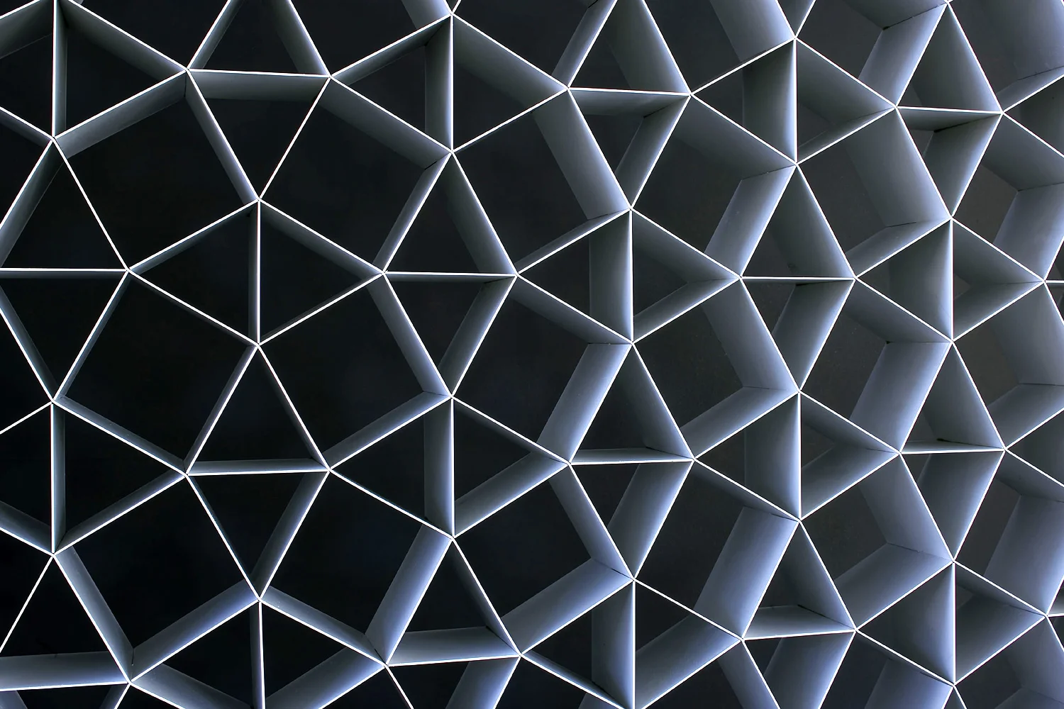 cellscreen detail 1500x1000.jpg