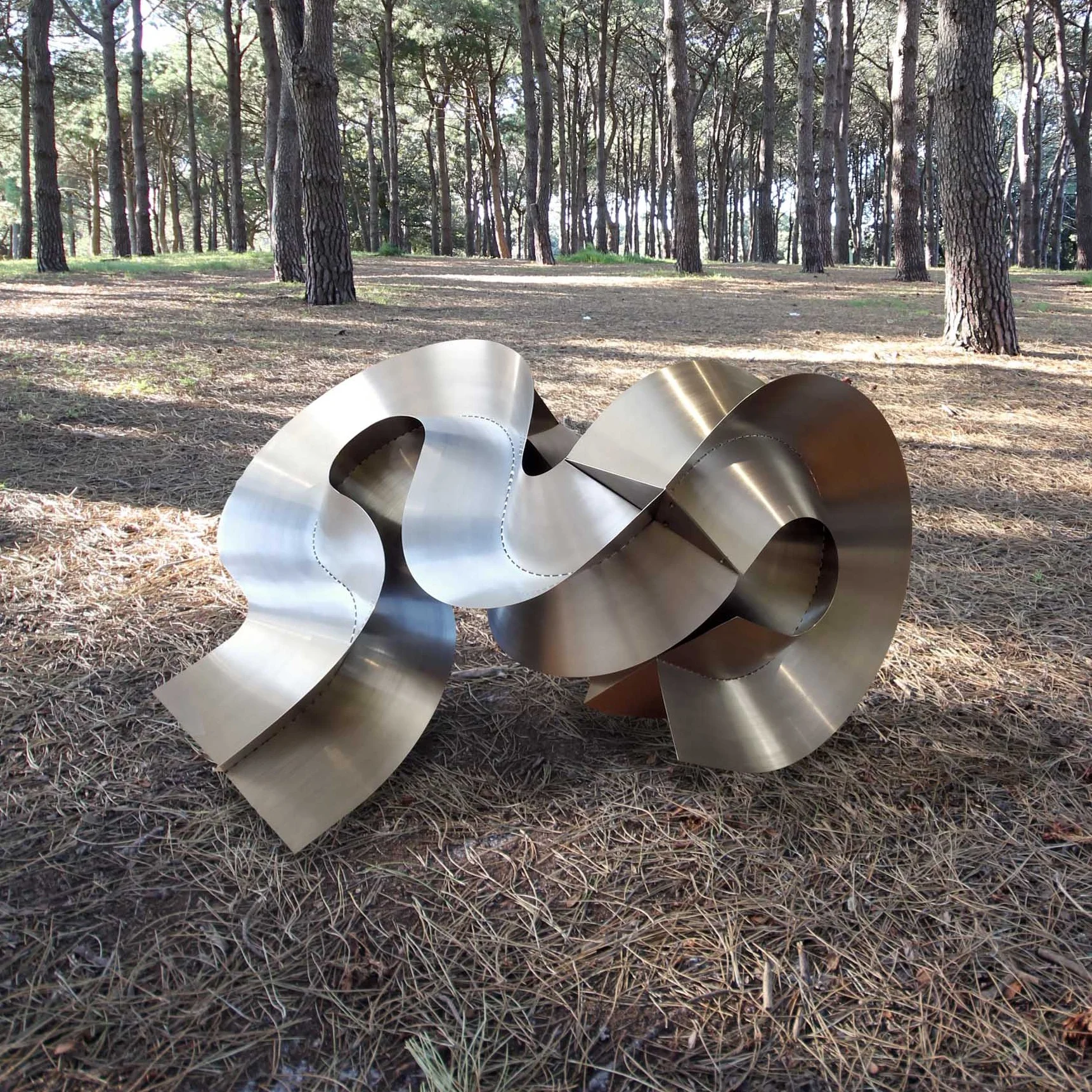 armature+2+in++the+forest+crop_.jpg
