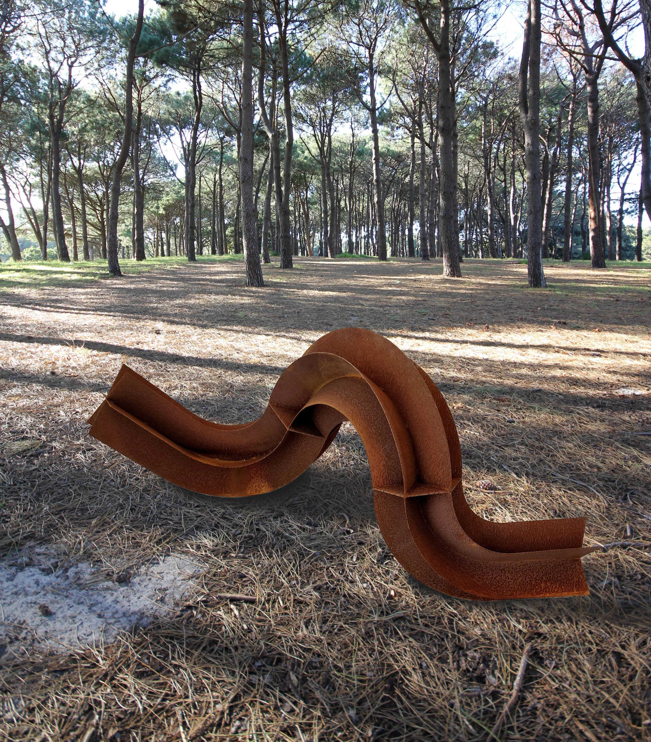 decoy 1 landscape.jpg