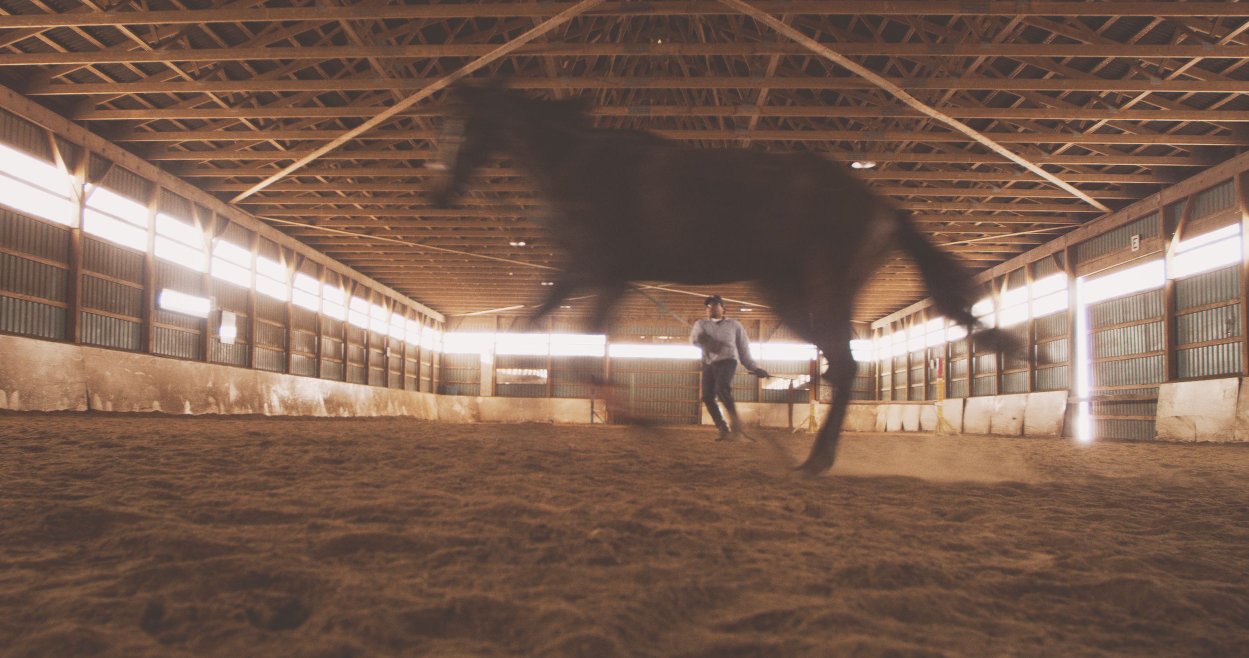 GREEN-HORSE---3_1.1.3.png