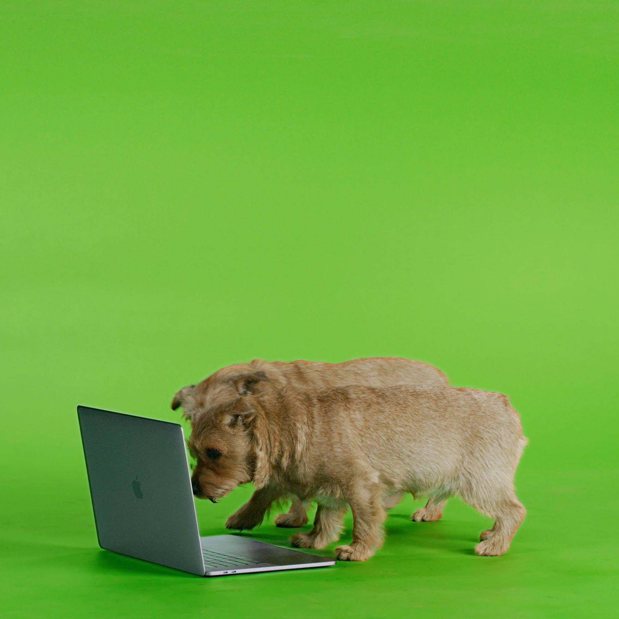 LAPTOP-DRAFT-2-1.mov.00_00_06_16.Still001.jpg