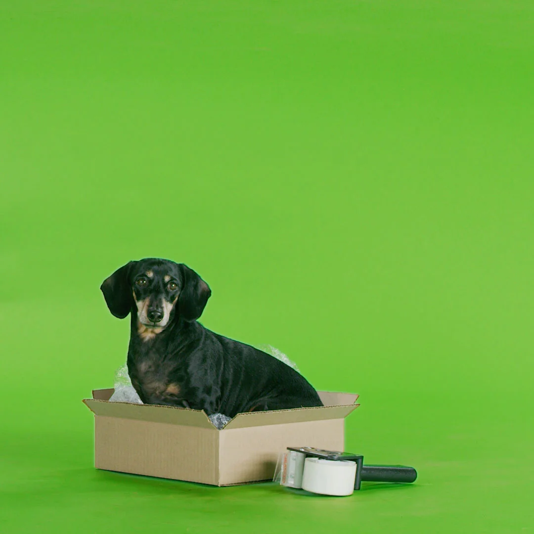 MOVING-ENG-DELIVERY.mp4.00_00_06_09.Still002.jpg