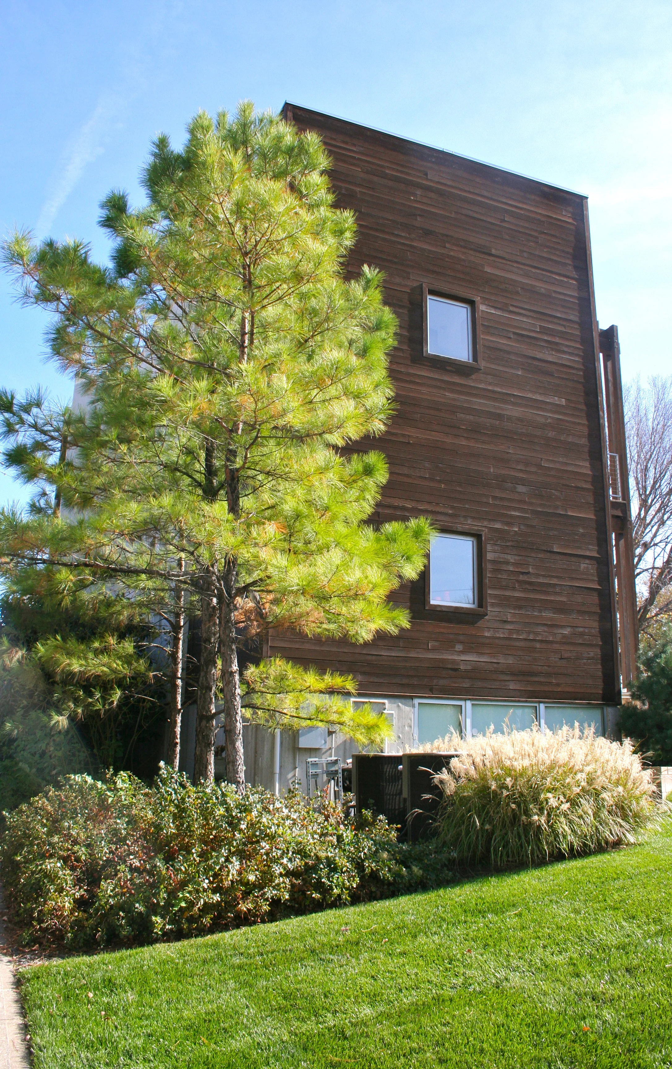 IMG_4824.jpg