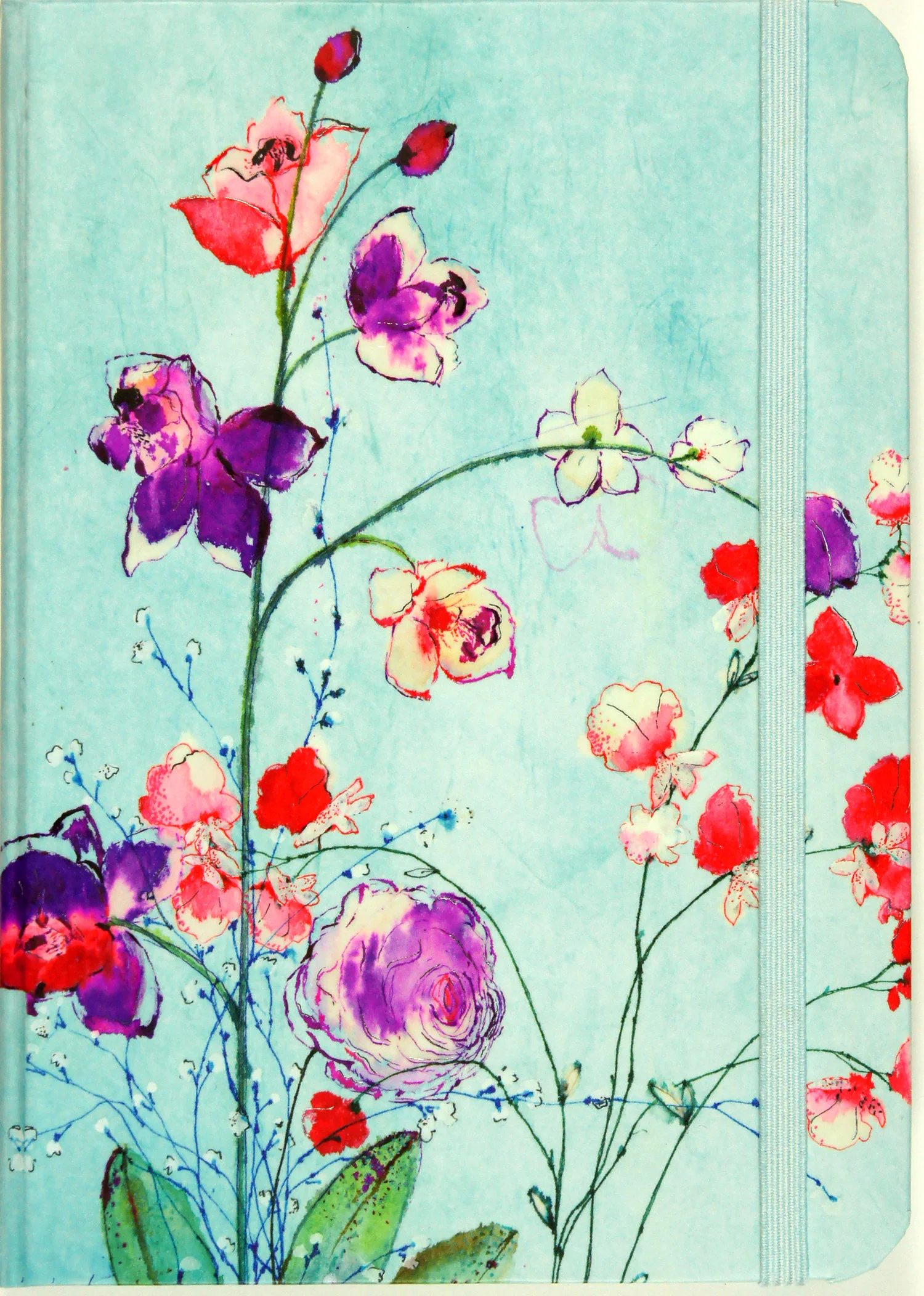 Fuchsia-Blooms.jpeg