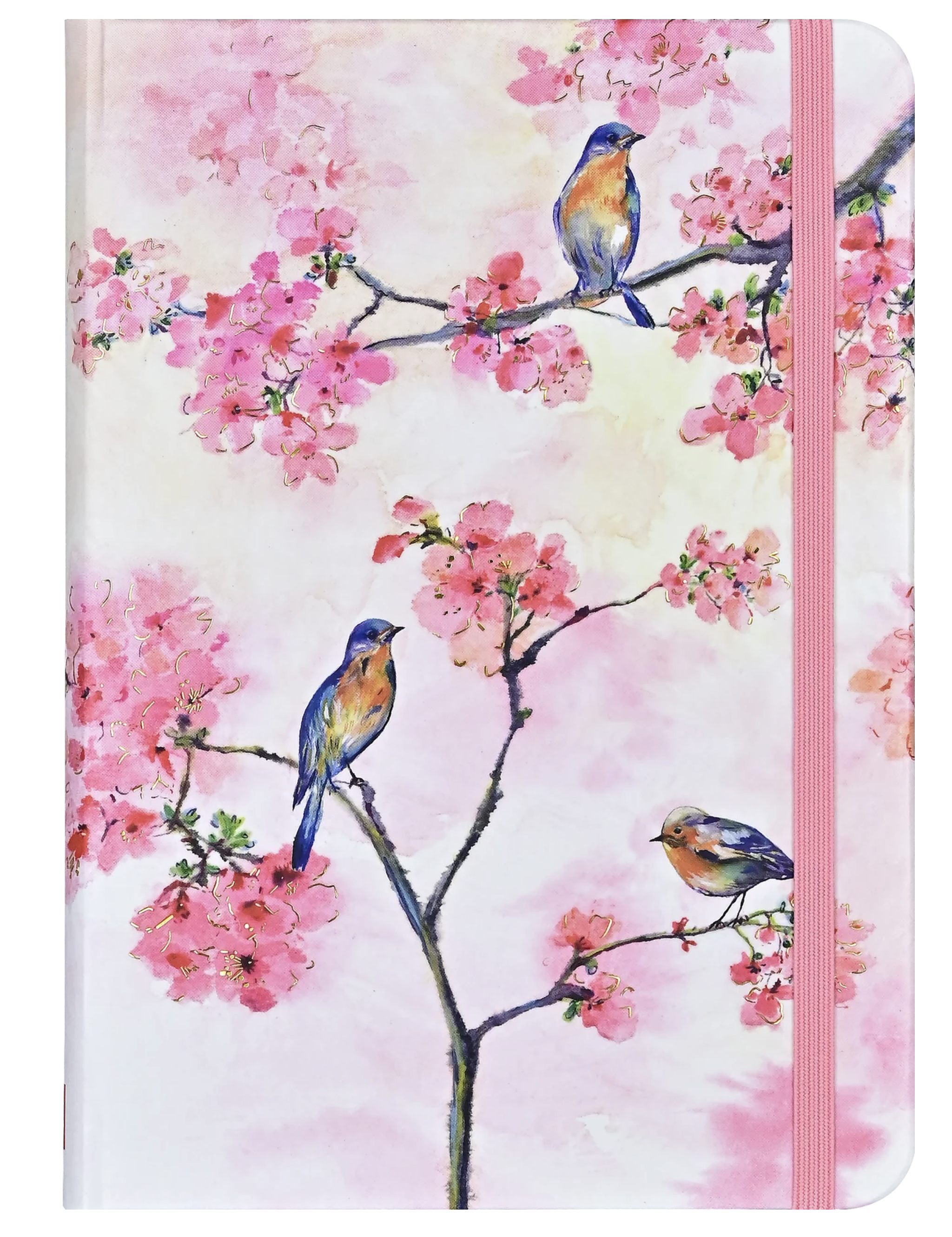 Screenshot 2024-11-22 at 1.27.47 PM.png