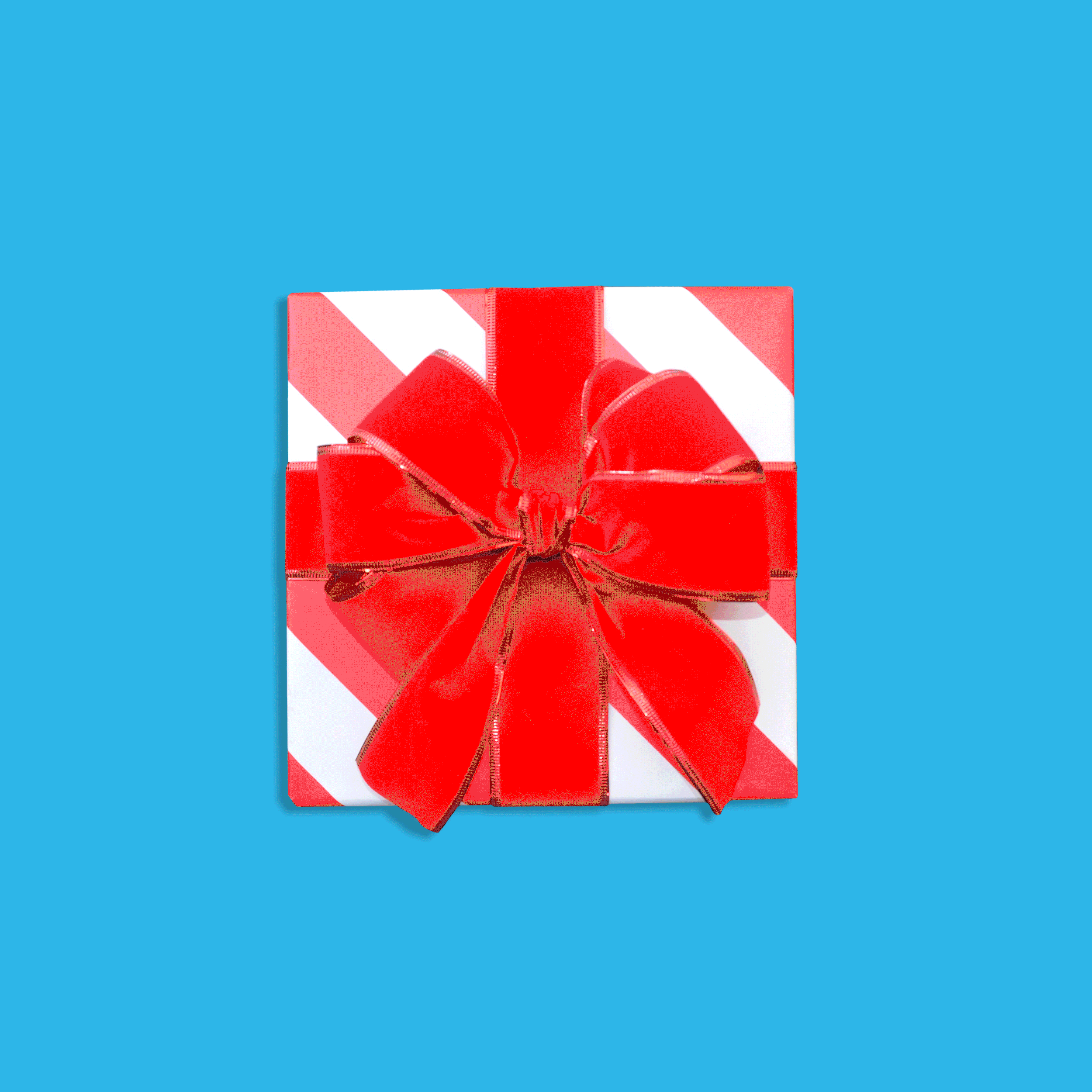 Tobyxmas_2017.gif