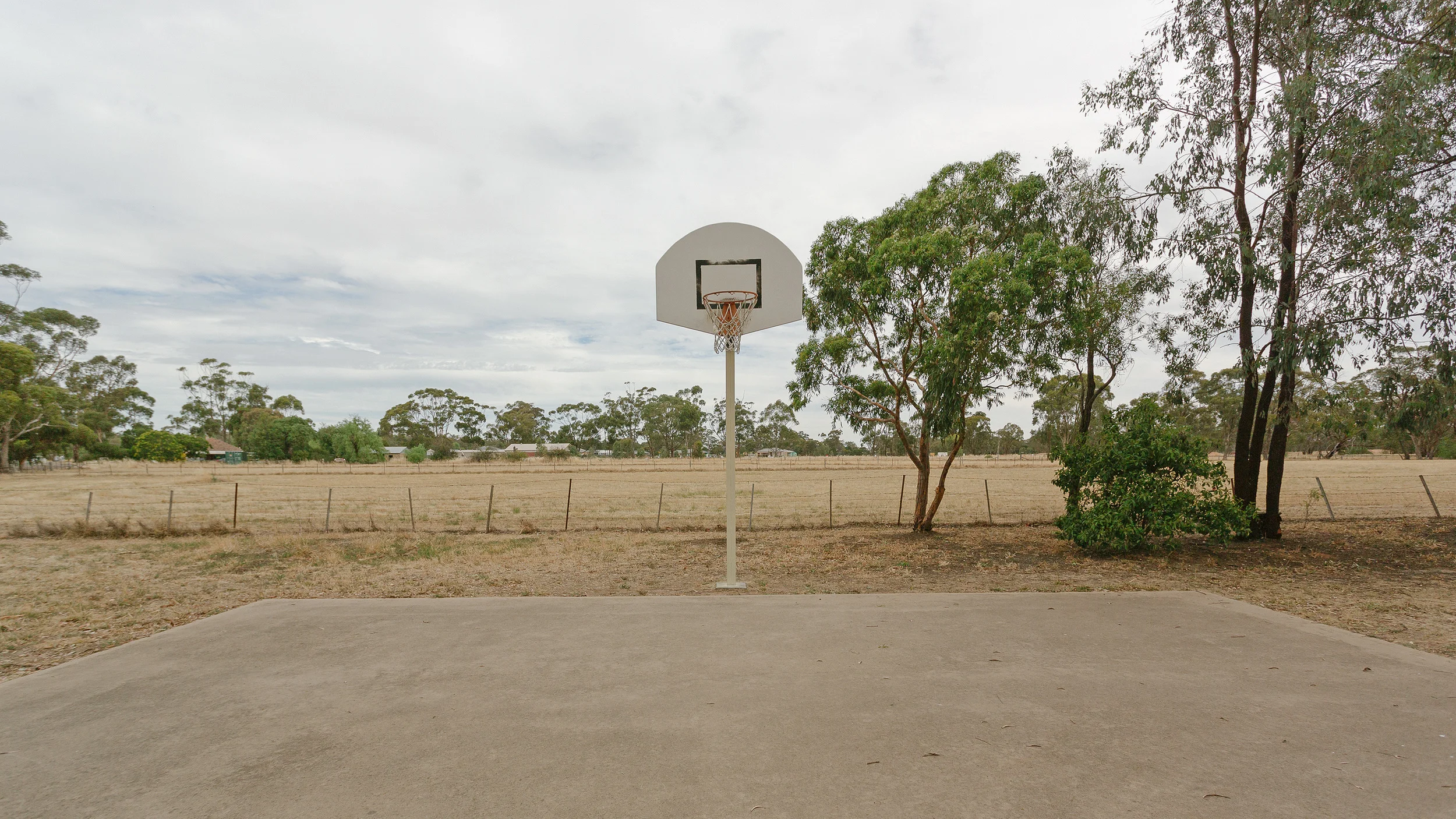 vic_mg_2543.jpg