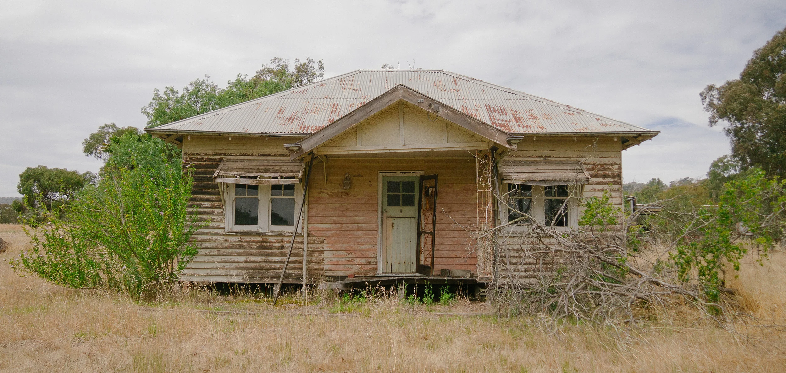 vicp1010485.jpg