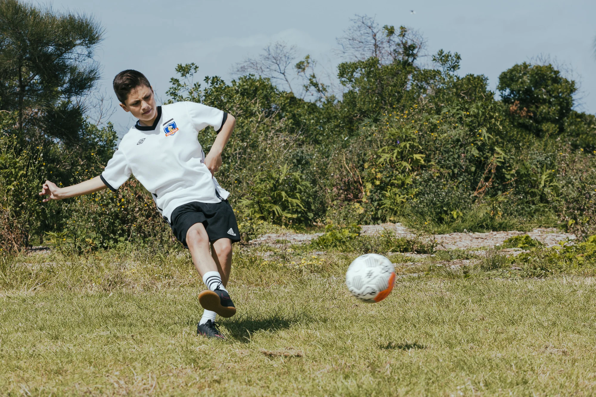 Pass_A_Ball_253.jpg
