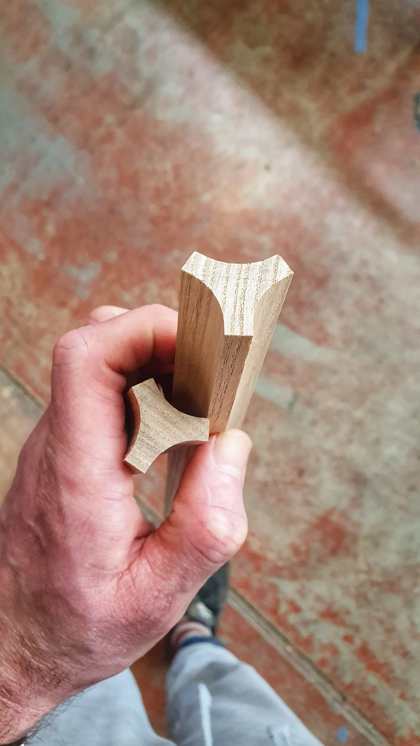 Contingency and constraint