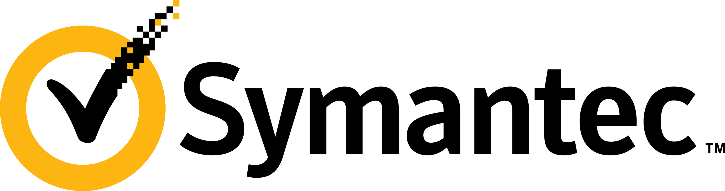 Symantec_logo_horizontal_2010.png