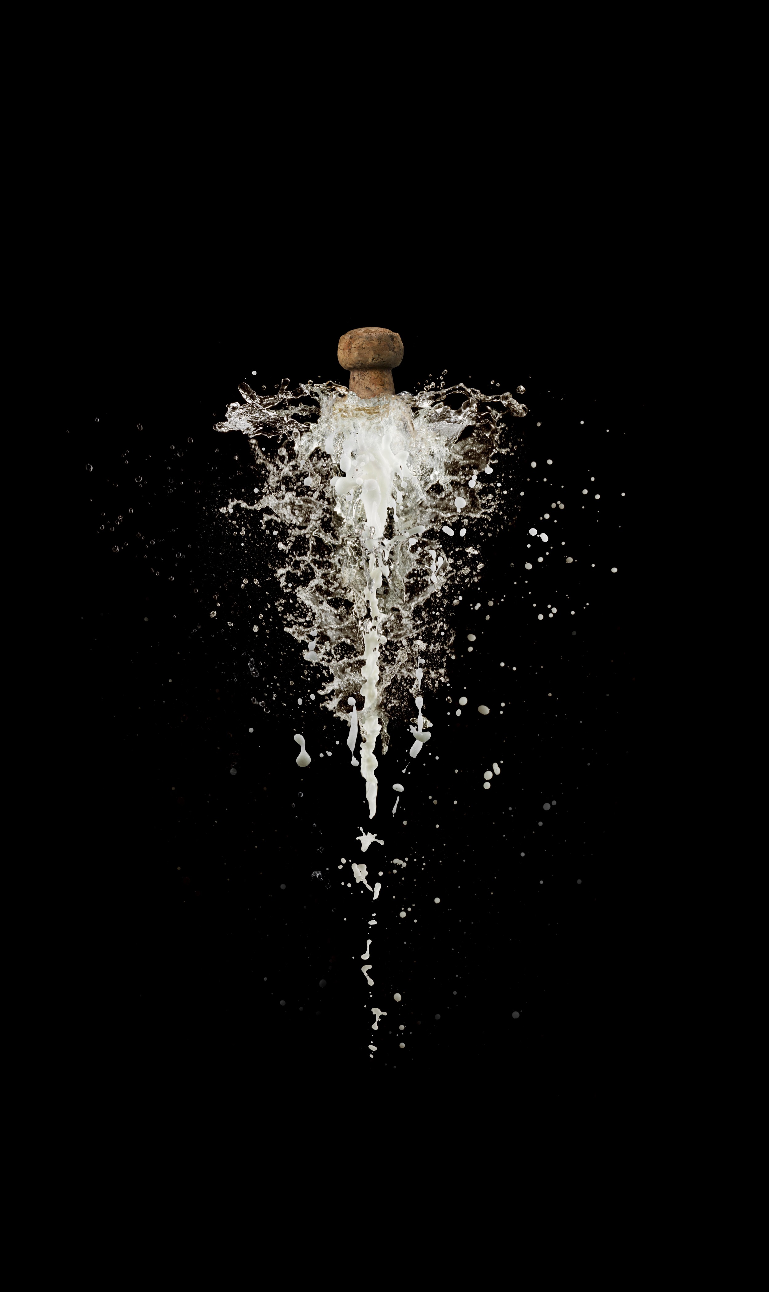 ChampagneBlast_0509 copy.jpg