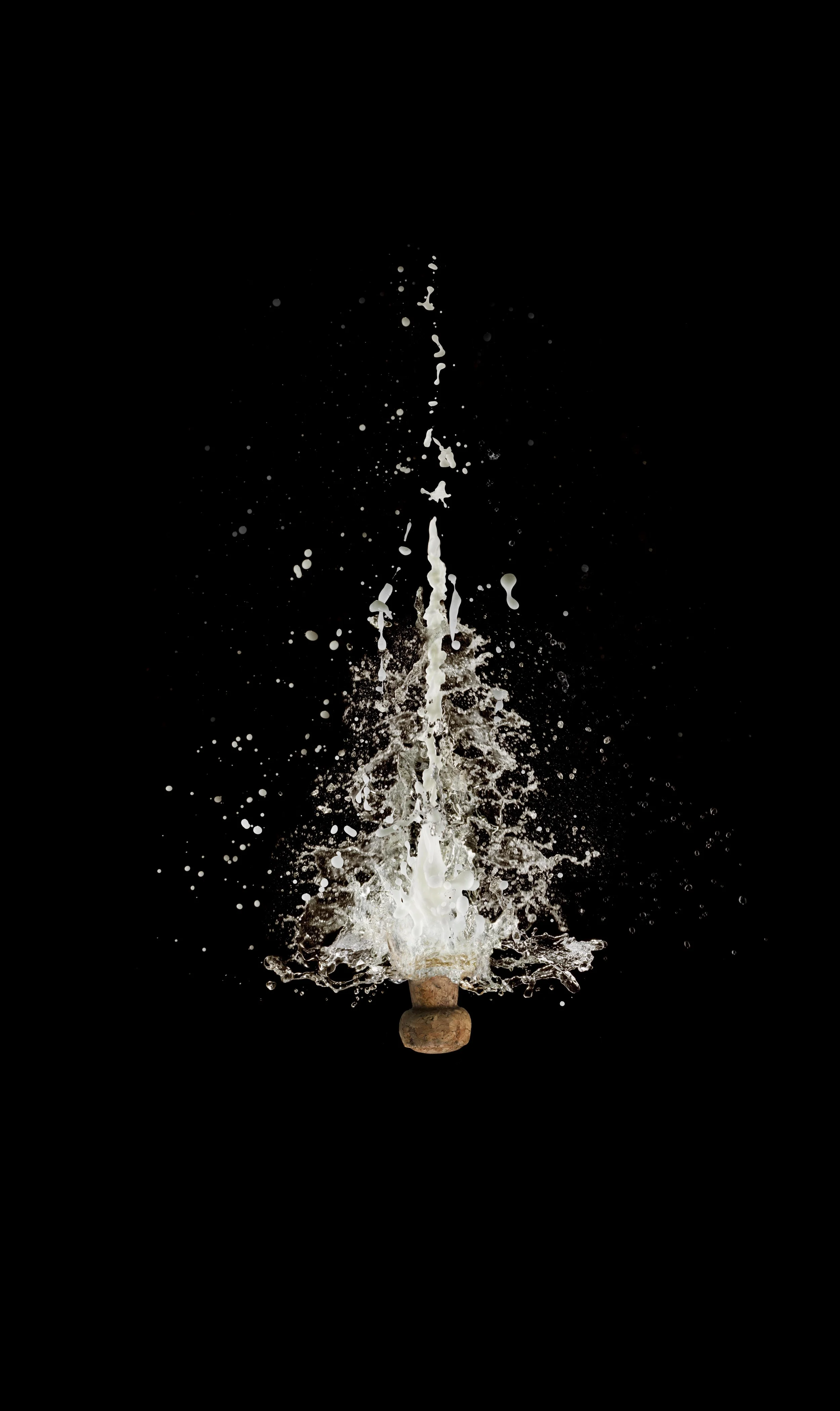 ChampagneBlast_0509 copy.jpg