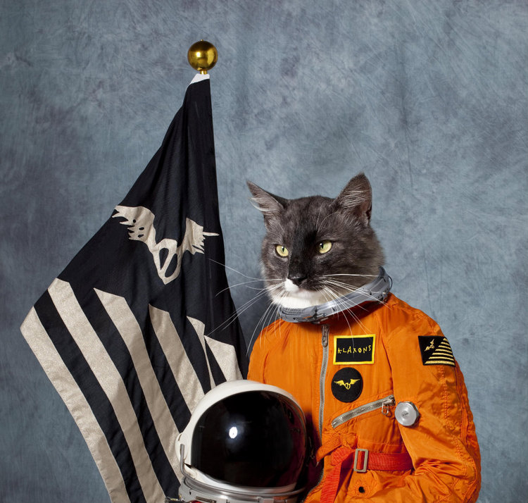 ​Klaxons​Photographer: Mads PerchAgency: Polydor