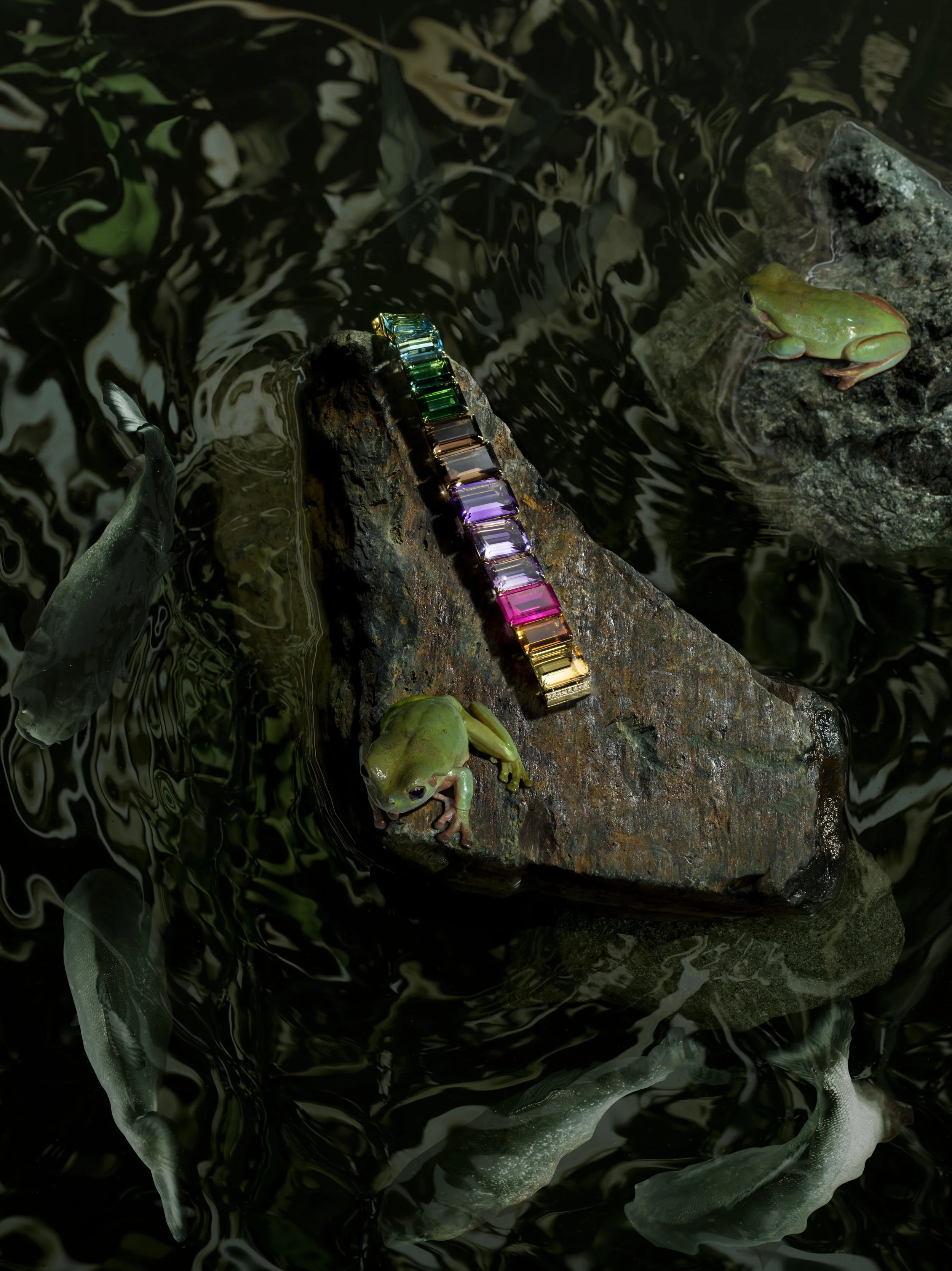 JKnowles_H_SternAmazon_0067 copy.jpg