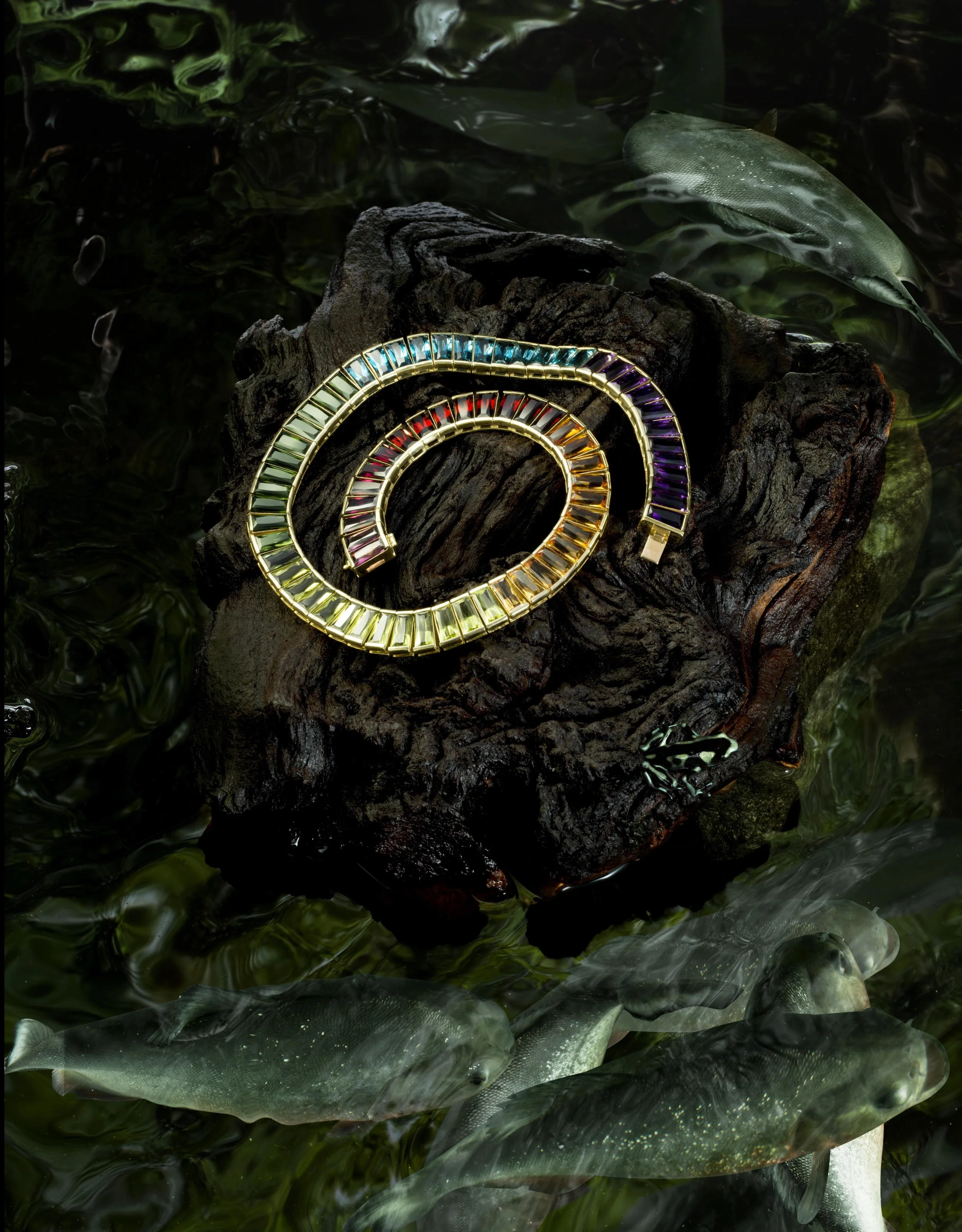 JKnowles_H_SternAmazon_0136 copy.jpg