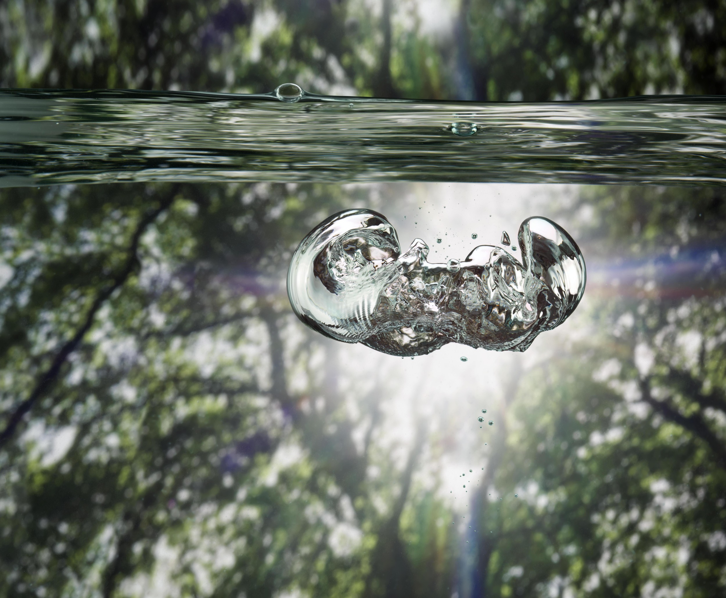 Forest_0130 copy.jpg