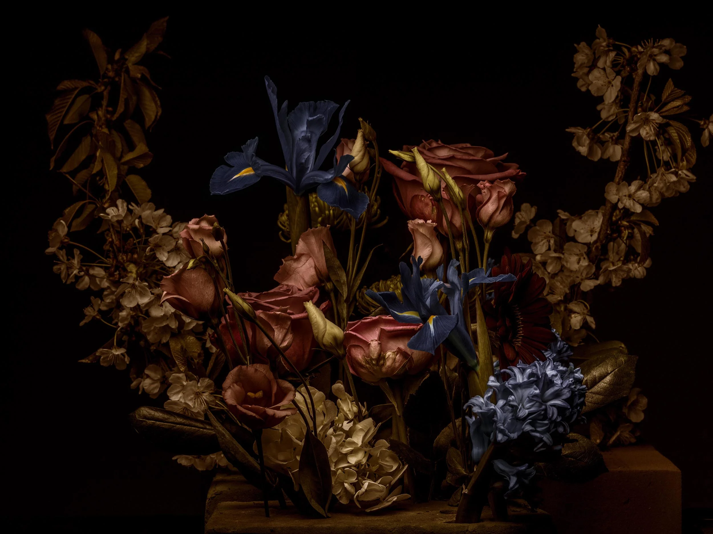 JKnowles_Flowers_0016 copy.jpg