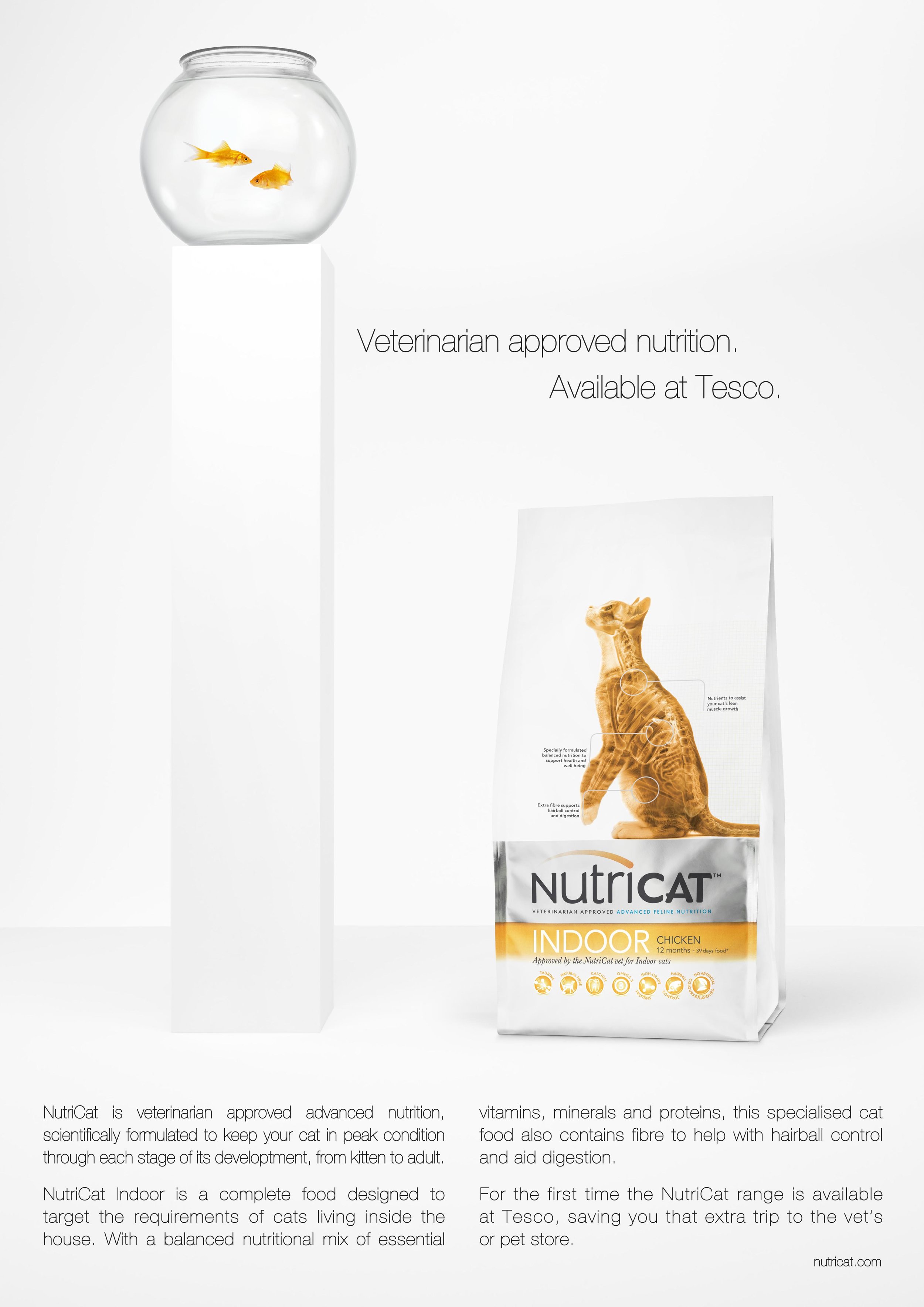 Goldfish_V2 copy.jpg