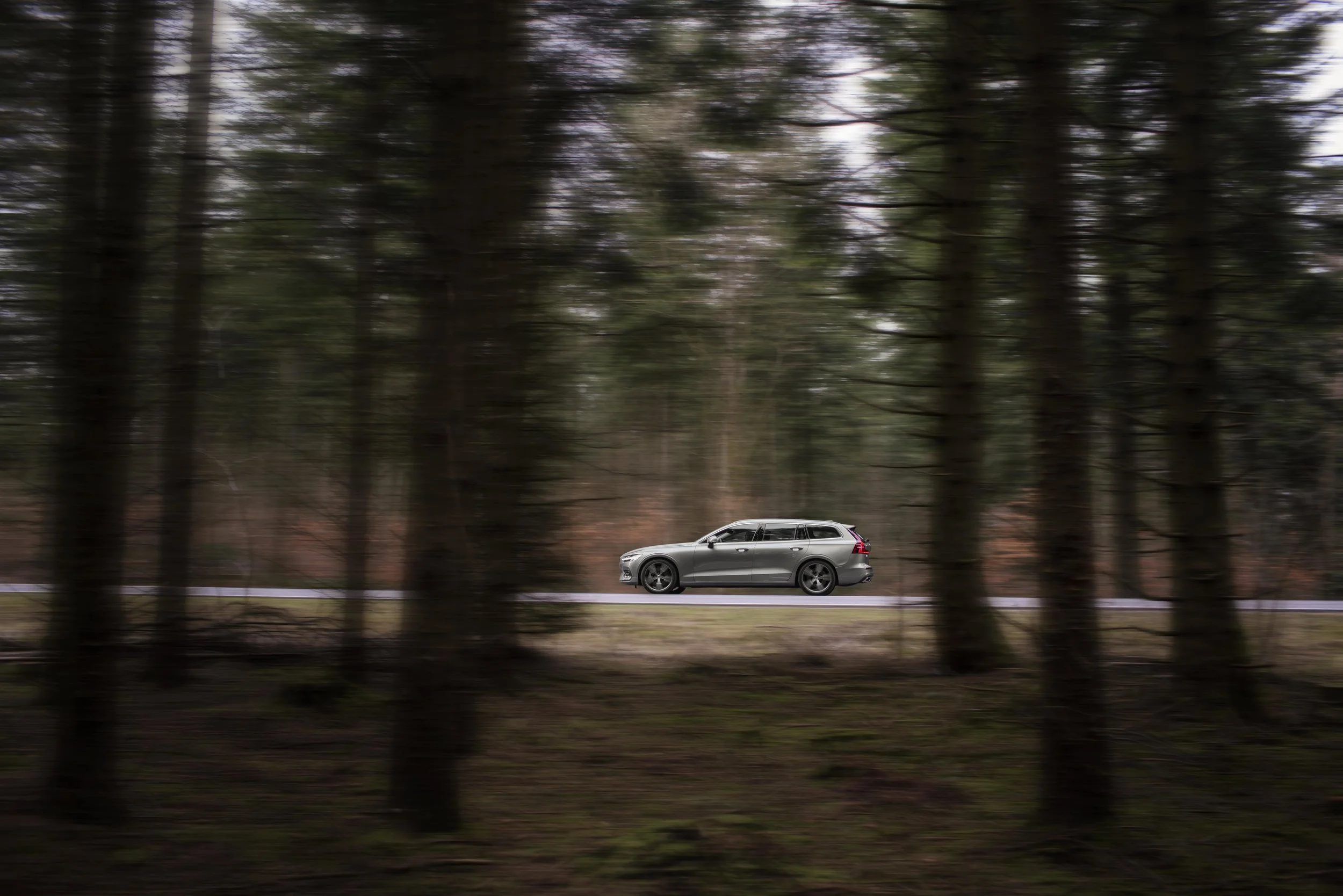 Sam-Christmas-3295 copy.jpg