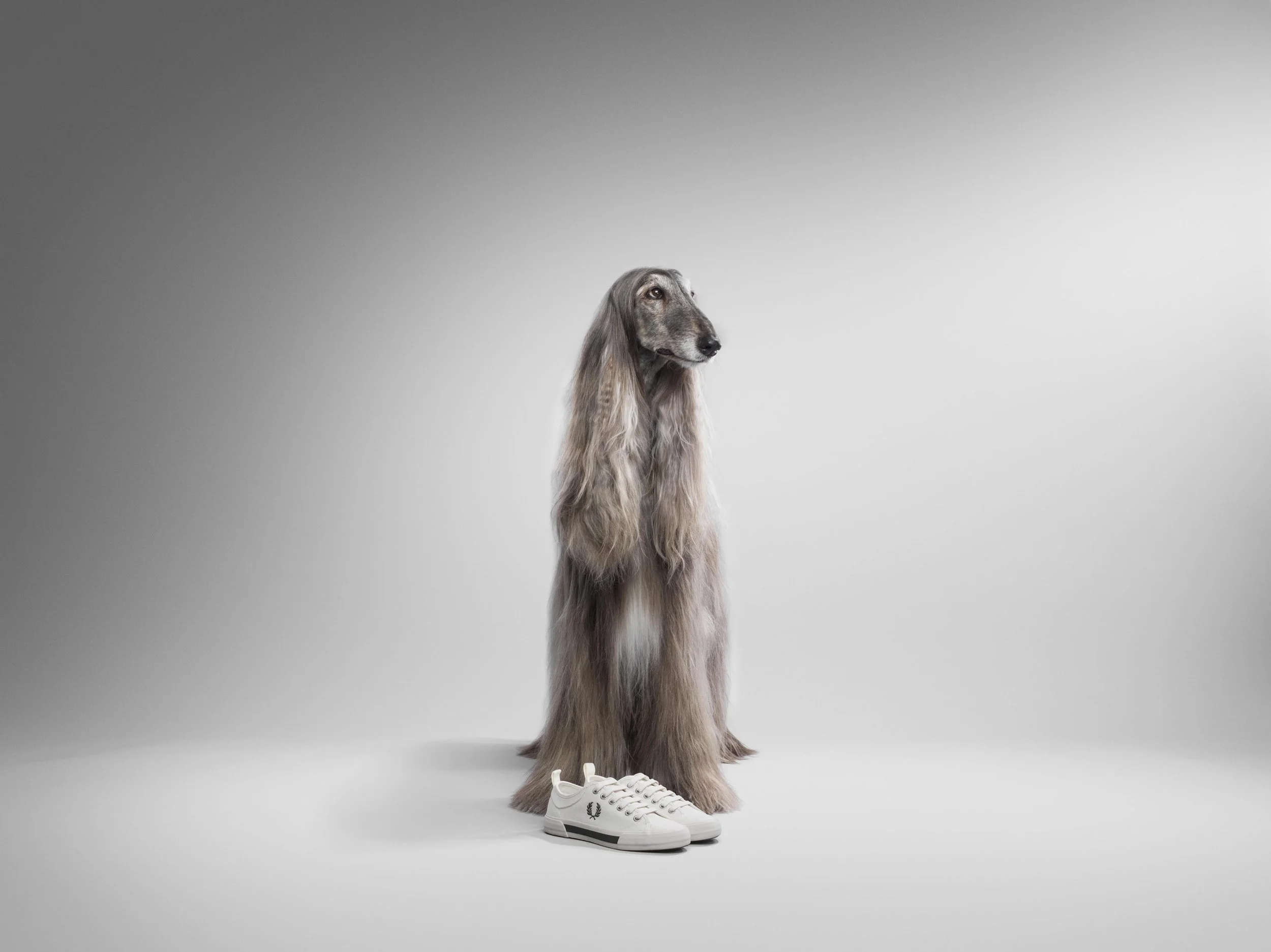 RFee_Hammerson_HB_Perfume_0155 copy.jpg