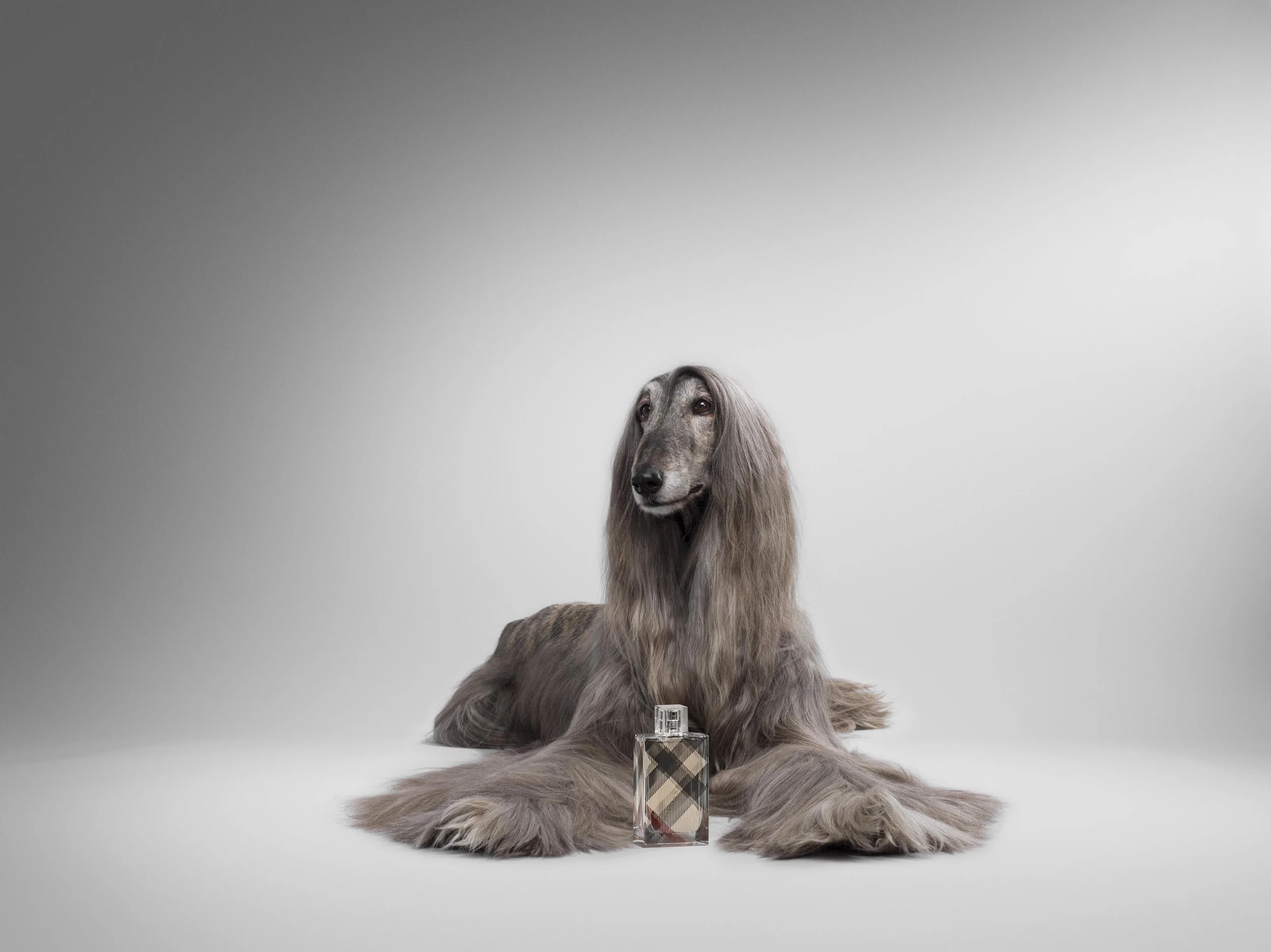 RFee_Hammerson_HB_Perfume_0038 copy.jpg