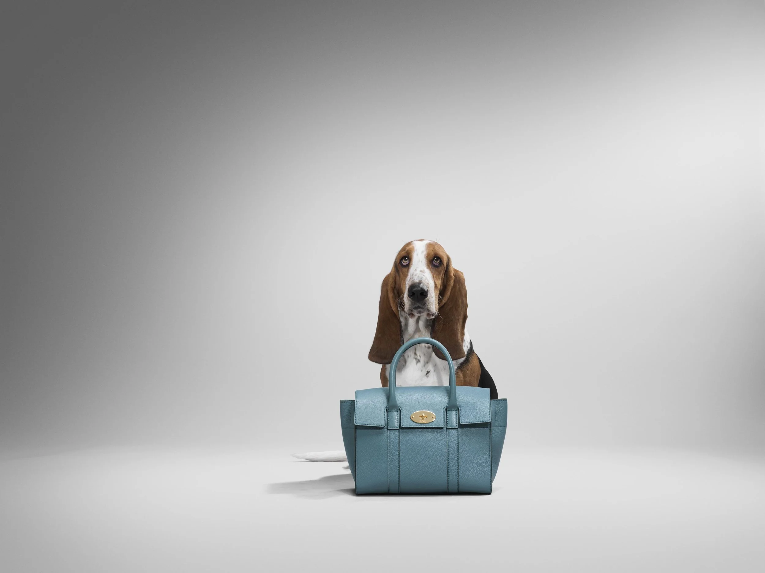 RFee_Hammerson_HB_Dog2_0298 copy.jpg