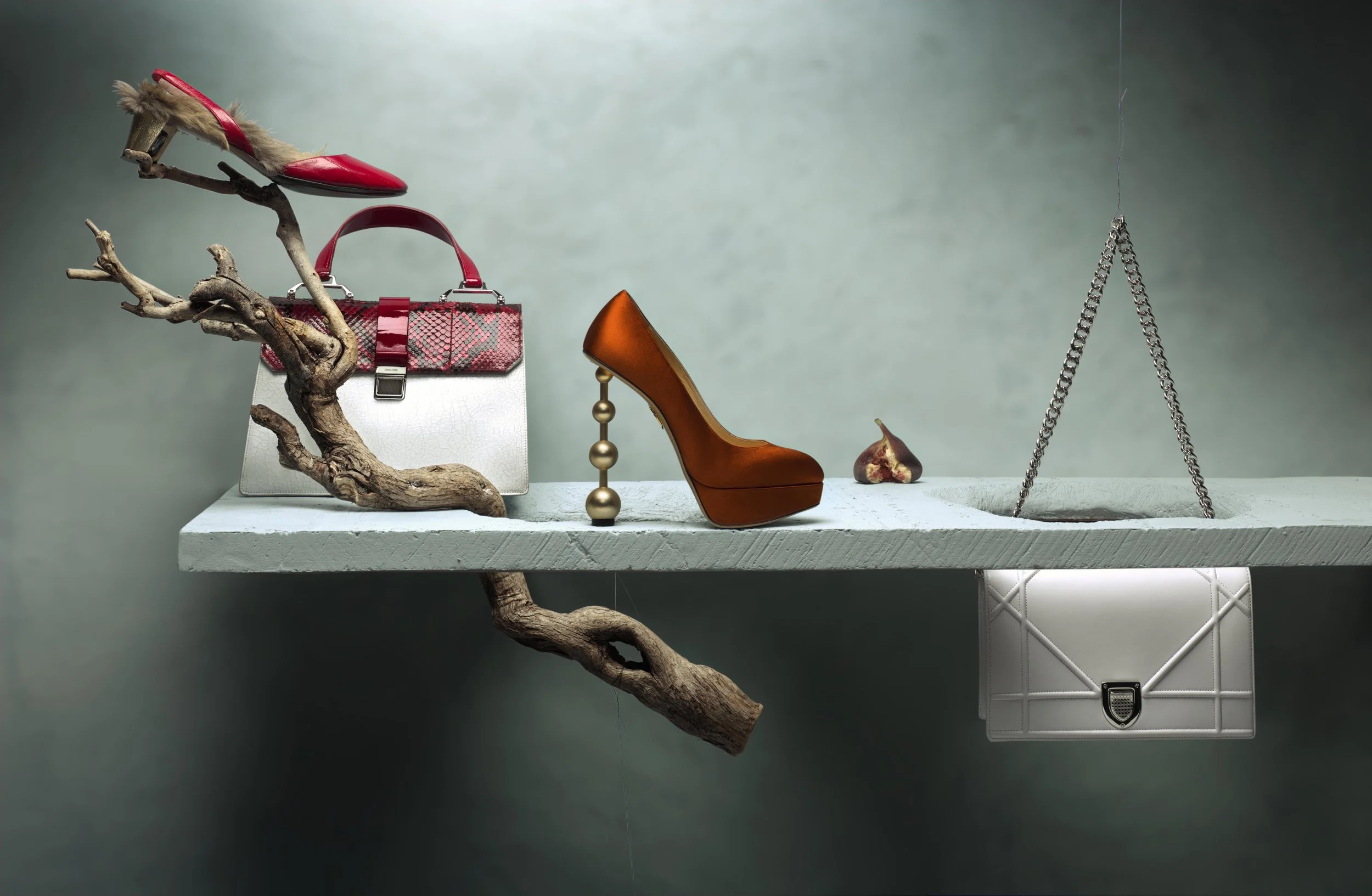 Shot 7 main (fig) Helicon copy.jpg