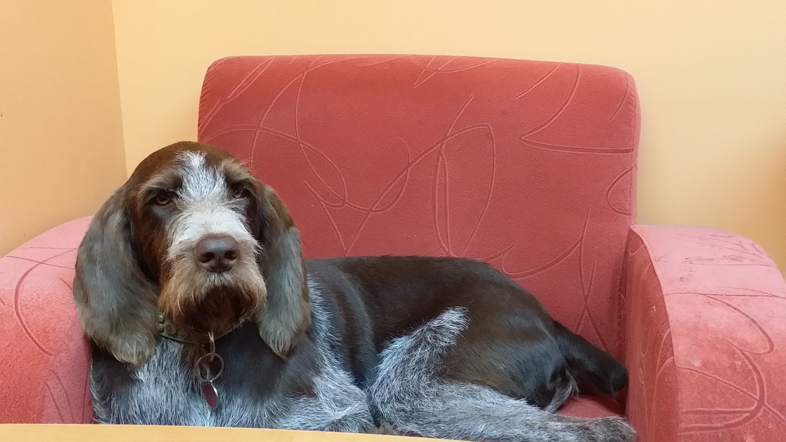 20150728_094323.jpg