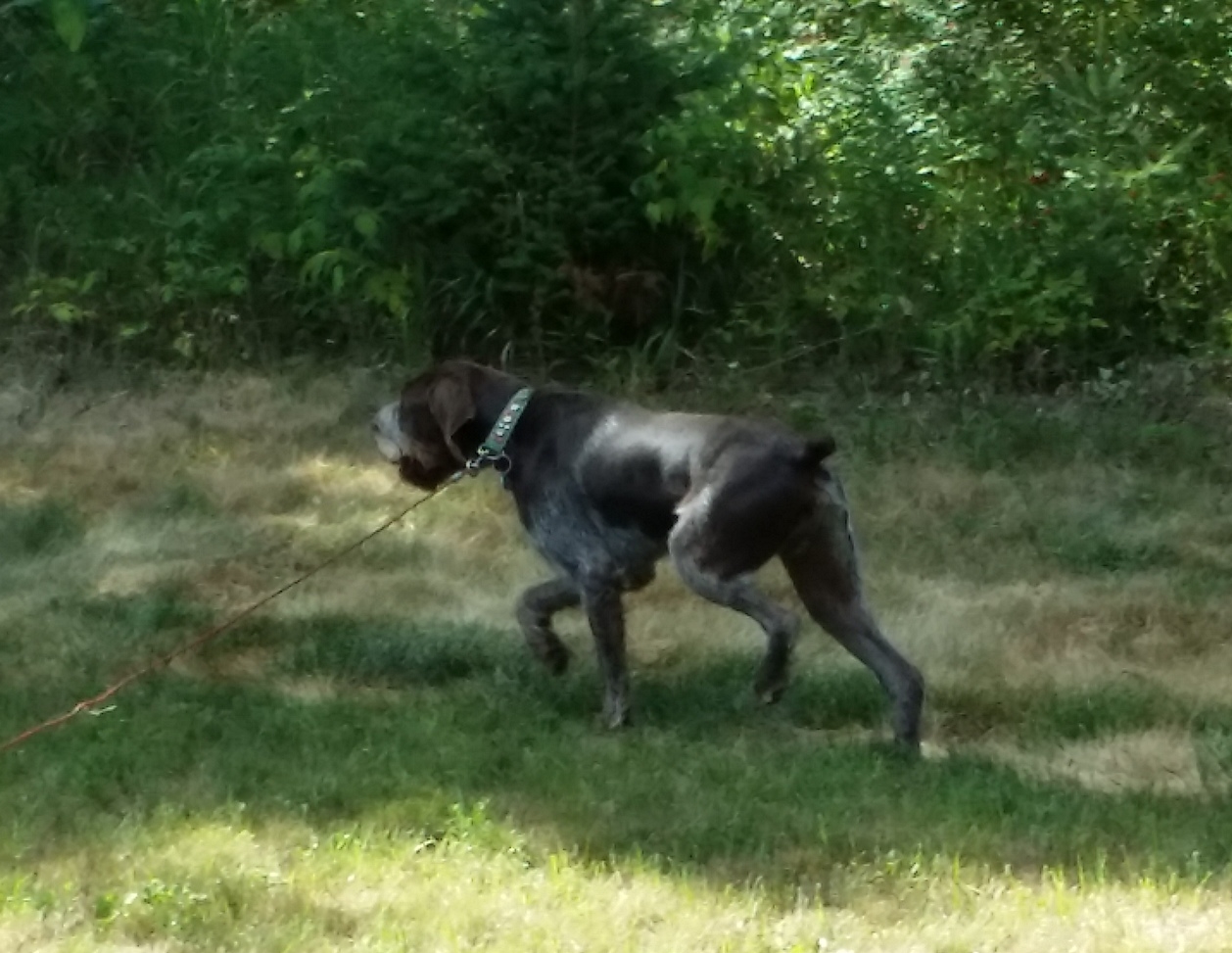 20150730_165936.jpg