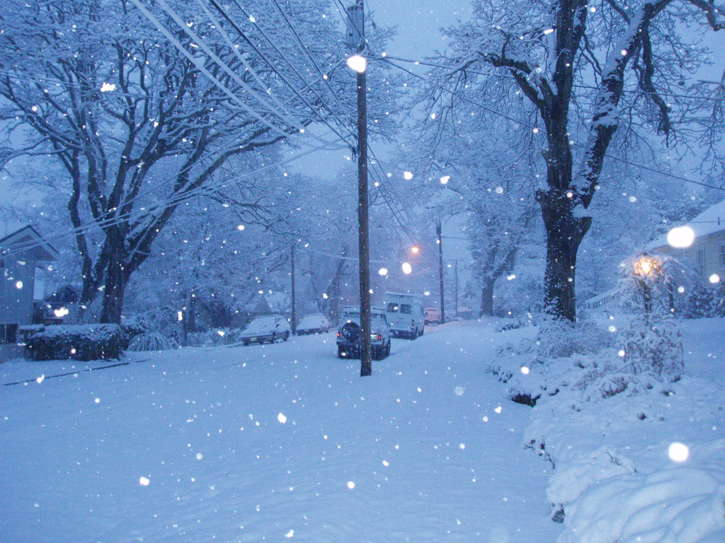 first-snowfall.jpg