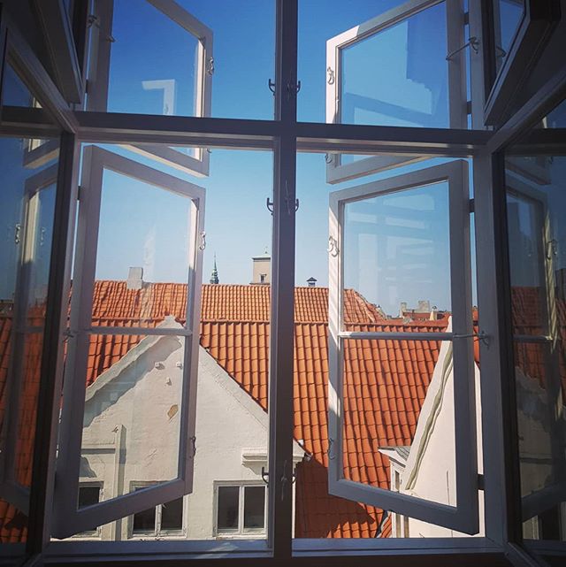The view from my new desk