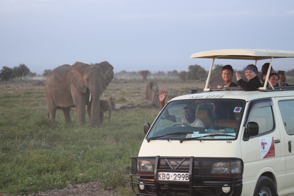 Simon gives a close up Safari in Kenya.