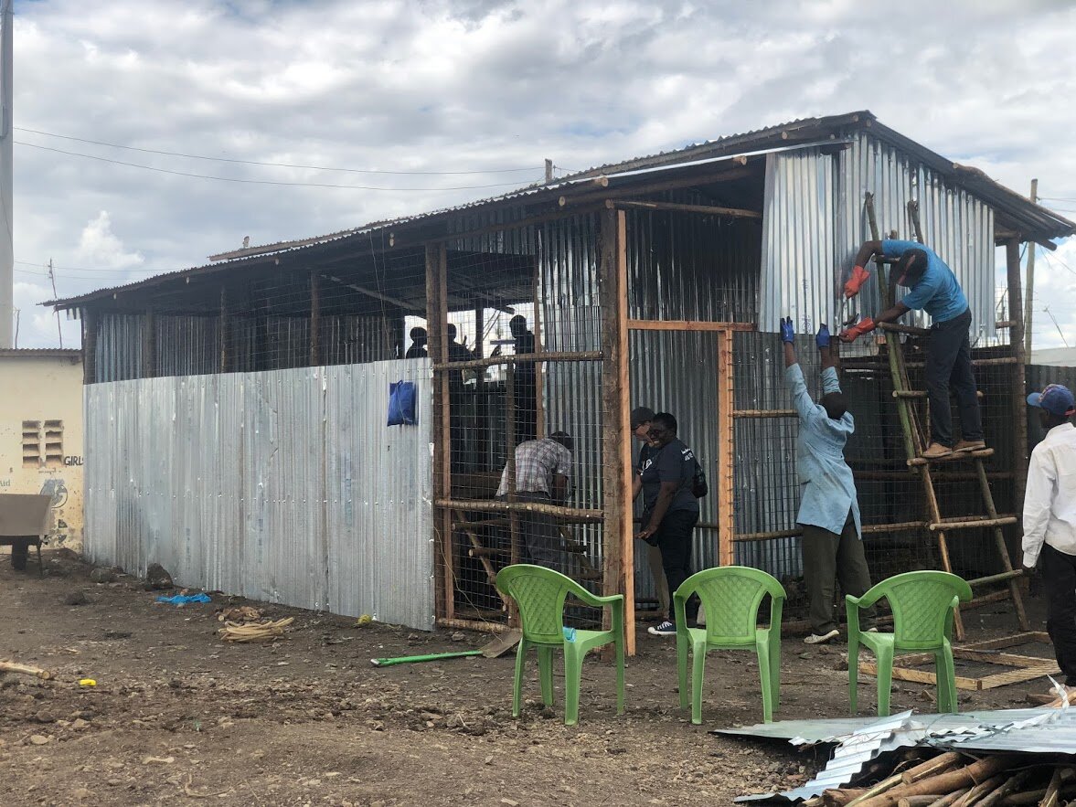 Chicken Project — Hope Without Borders