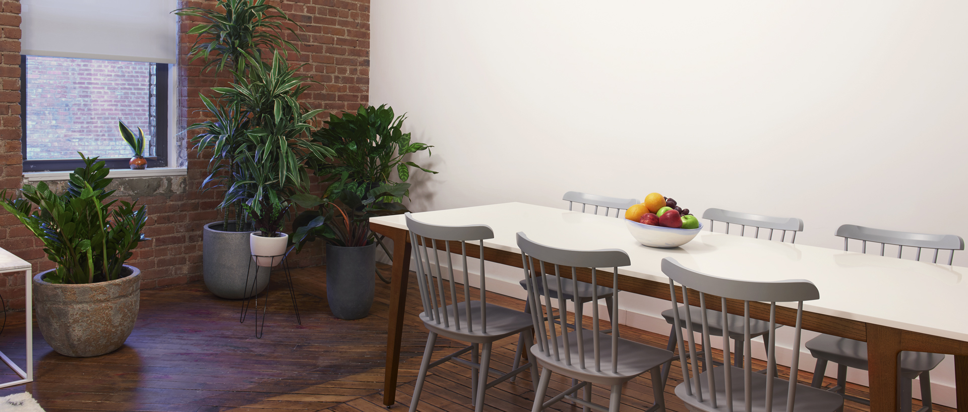 HonestLabor_Dining.jpg