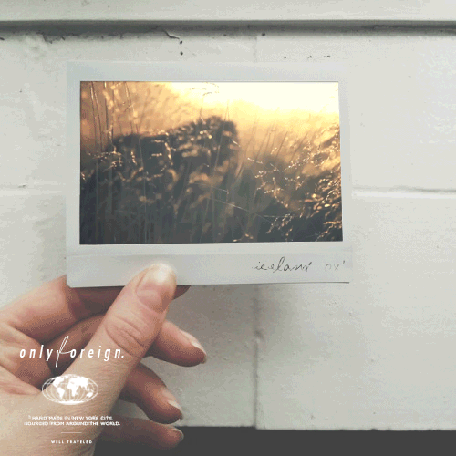 OF_polaroid1.gif