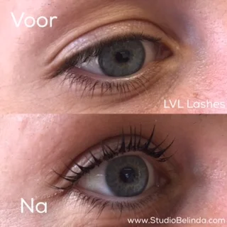 WIMPERLIFTING_StudioBelinda_1.jpg