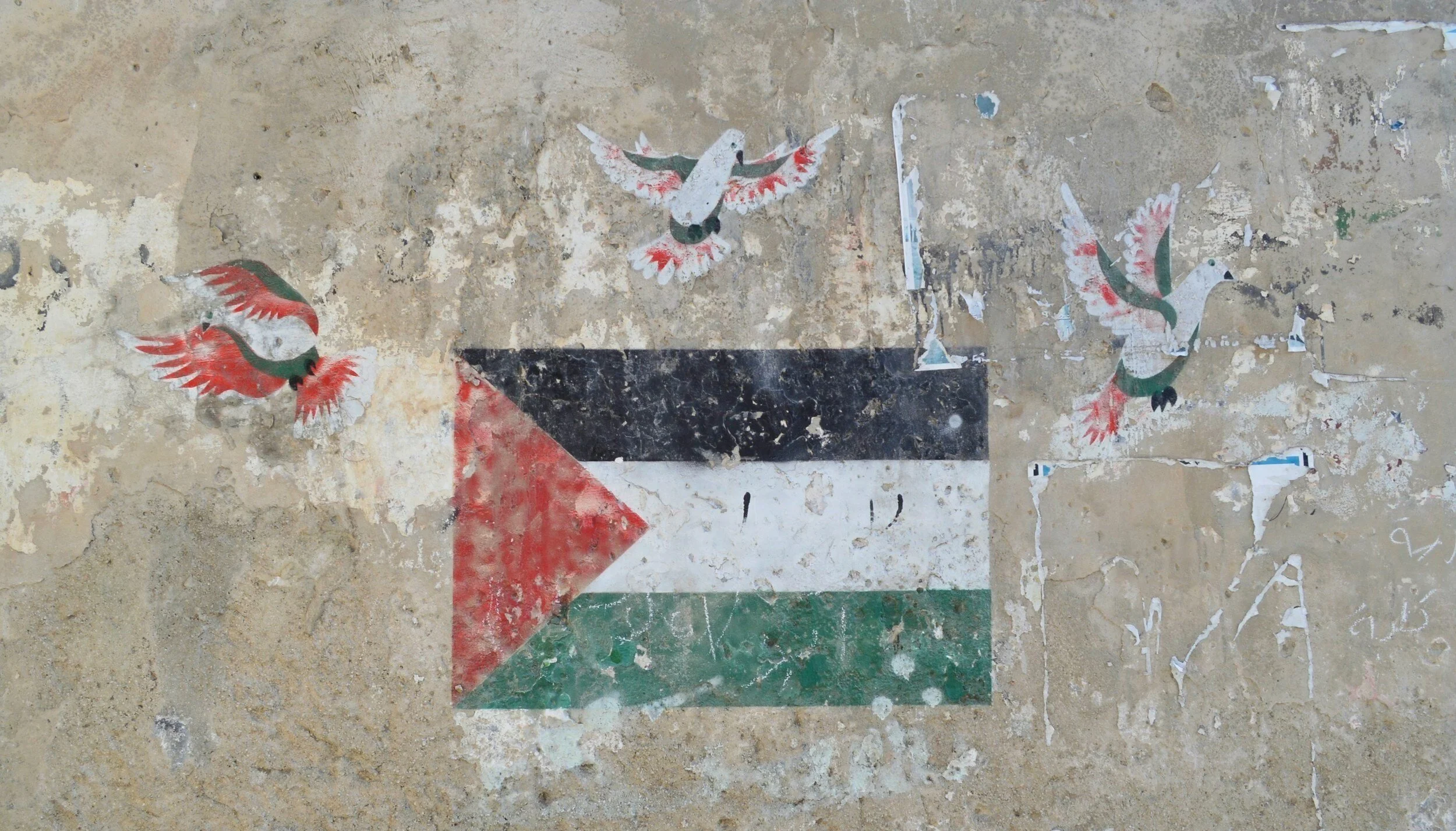 Take Action: Sign Latest Petition 