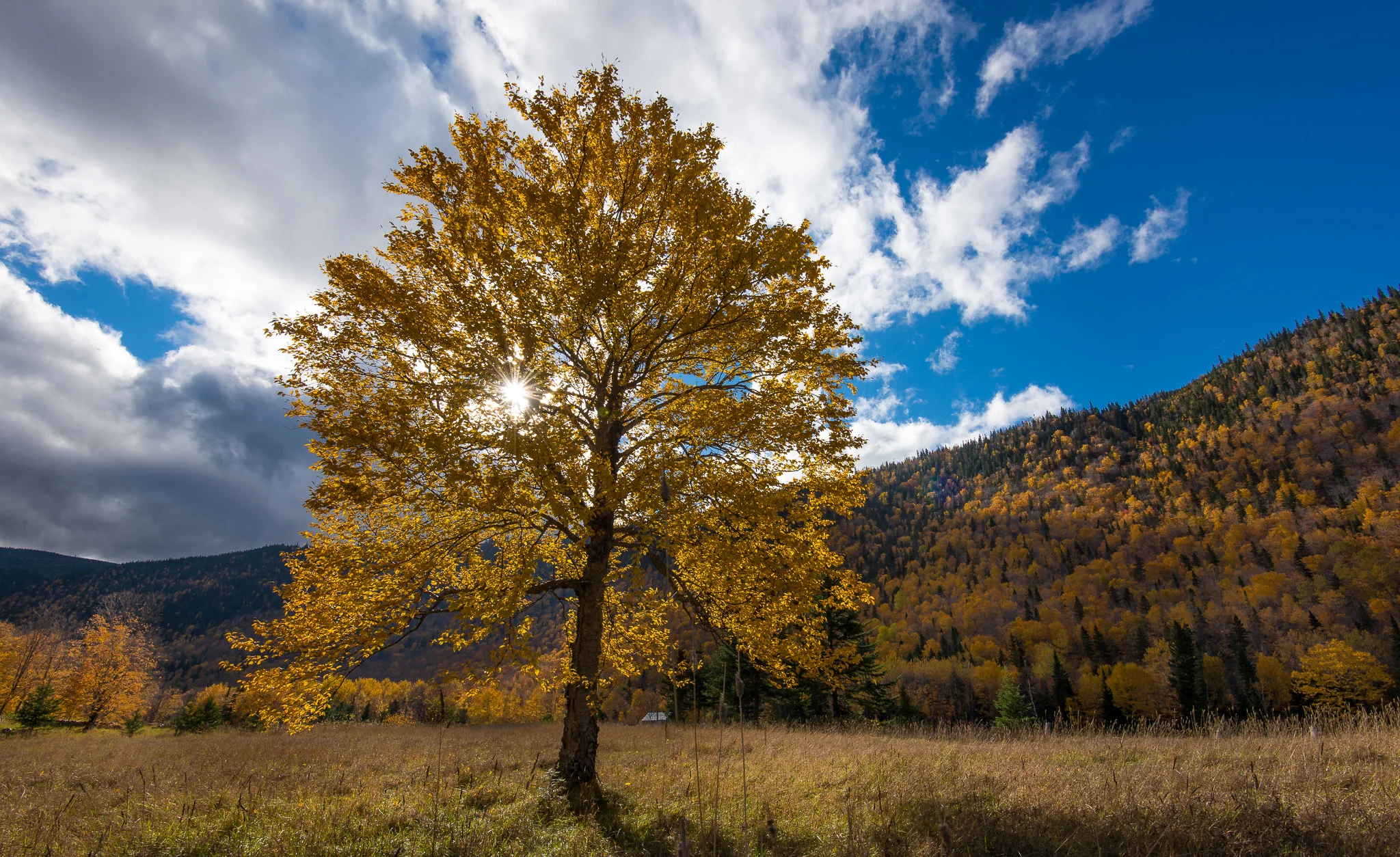 automne-.jpg