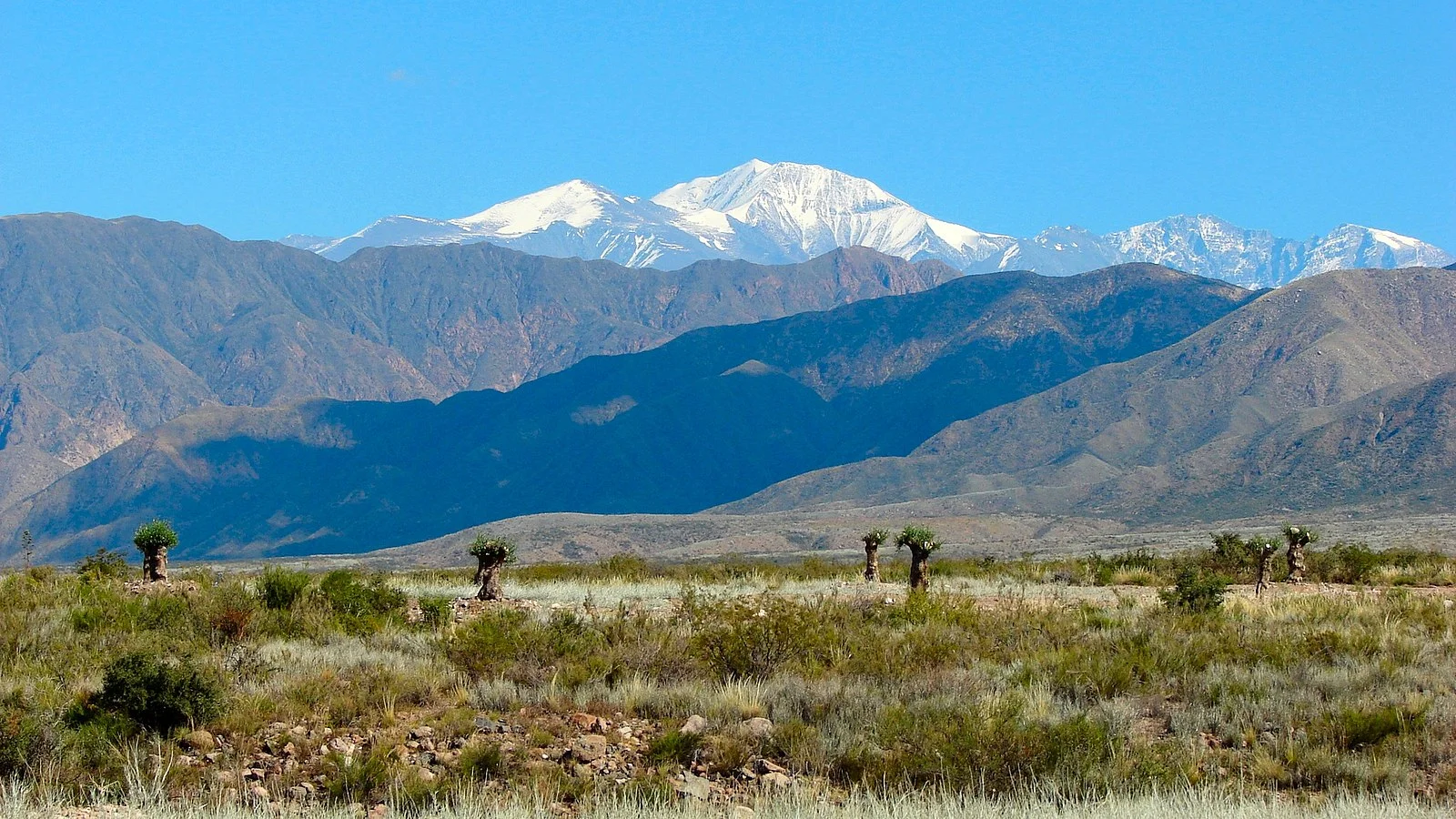 Luján_de_Cuyo,_Mendoza,_Argentina_-_panoramio_(7).jpg