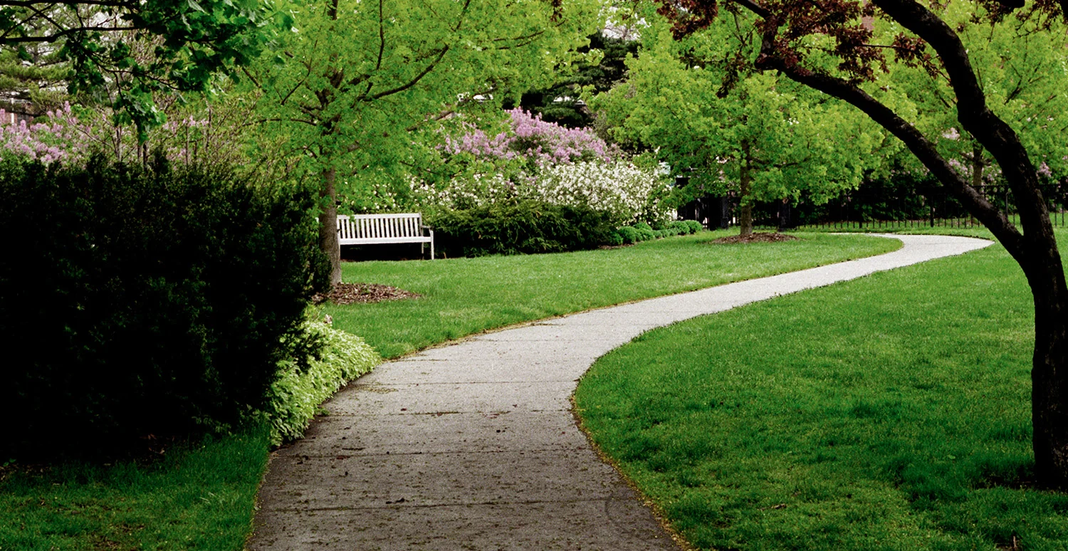 garden_path.jpg