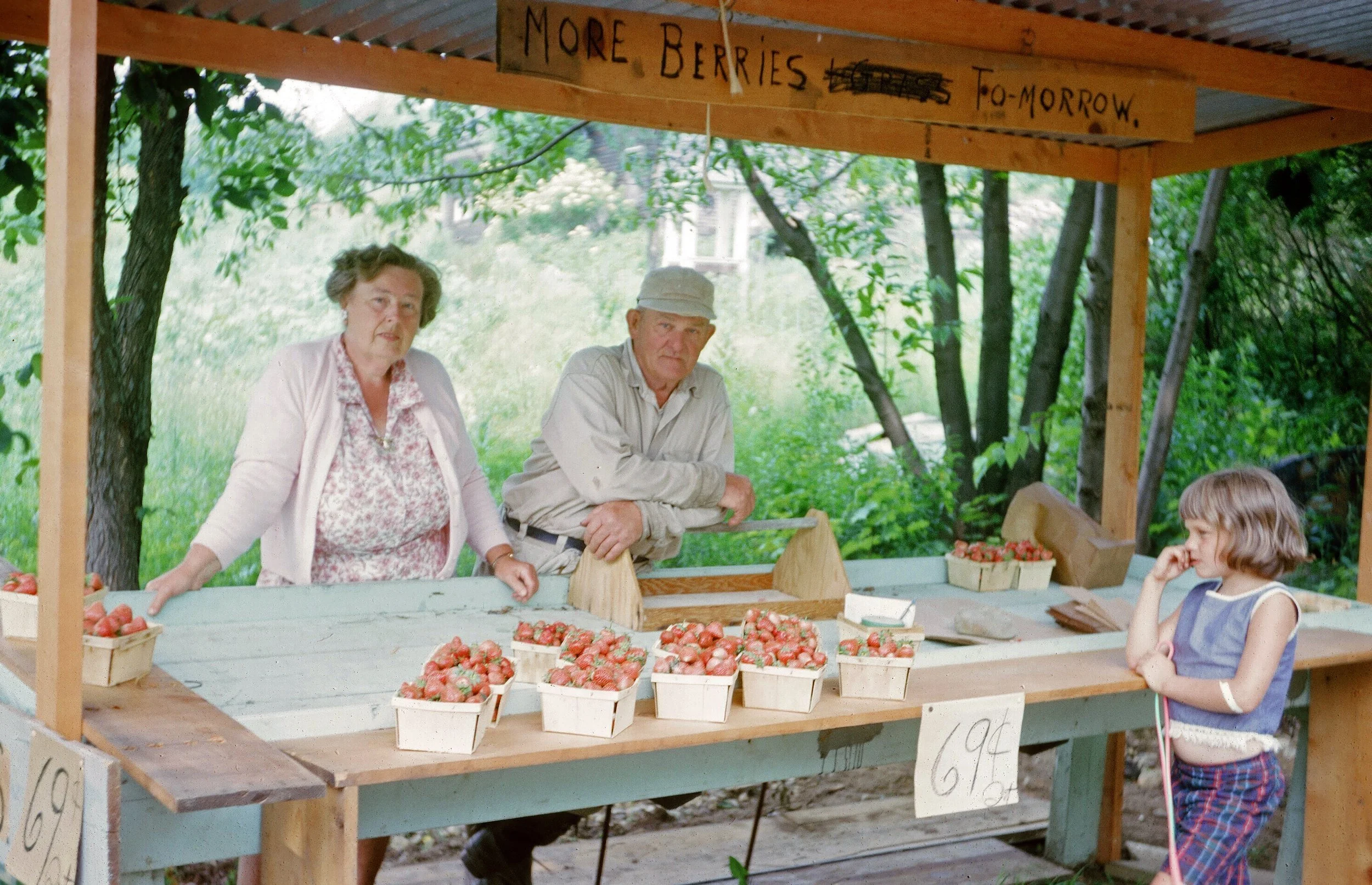 Mr. Atwood's Strawberries