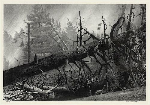 The Brilliant Gray of Stow Wengenroth