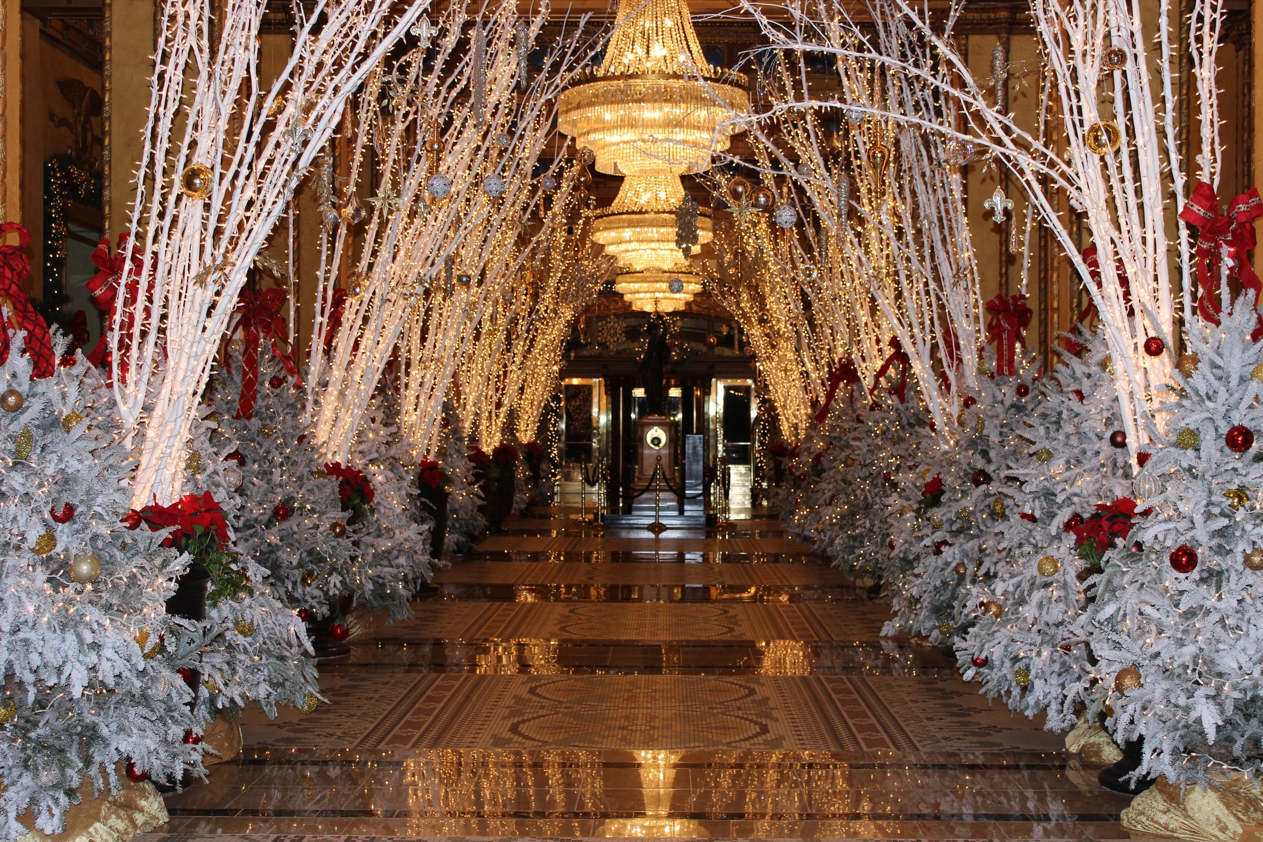  The Roosevelt, New Orleans 