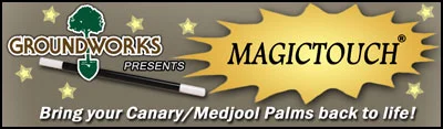 MagicTouchLogo.jpg